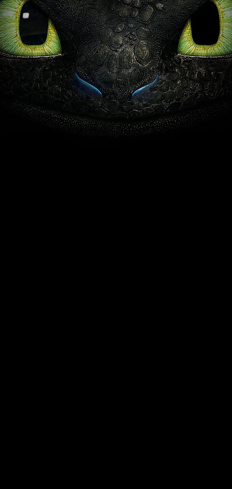 800x1689 Dragon, movies, how, humor, toothless, dark, skull, eyes, dragons, train, HD phone wallpaper