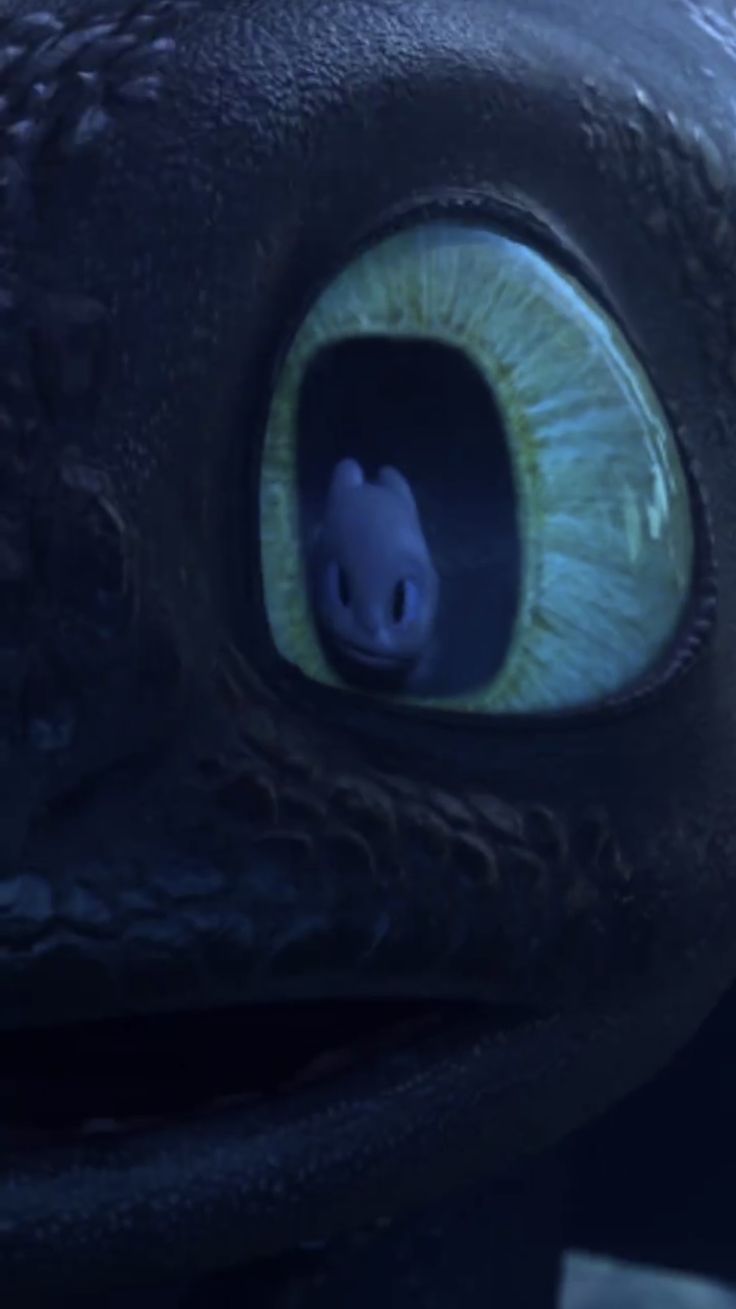 736x1309 Toothless and light fury matching wallpaper. Blue toothless wallpaper, The light fury, Night fury