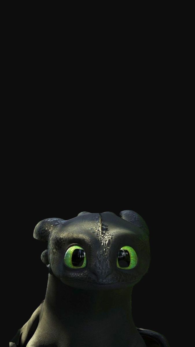 675x1200 Toothless Wallpaper