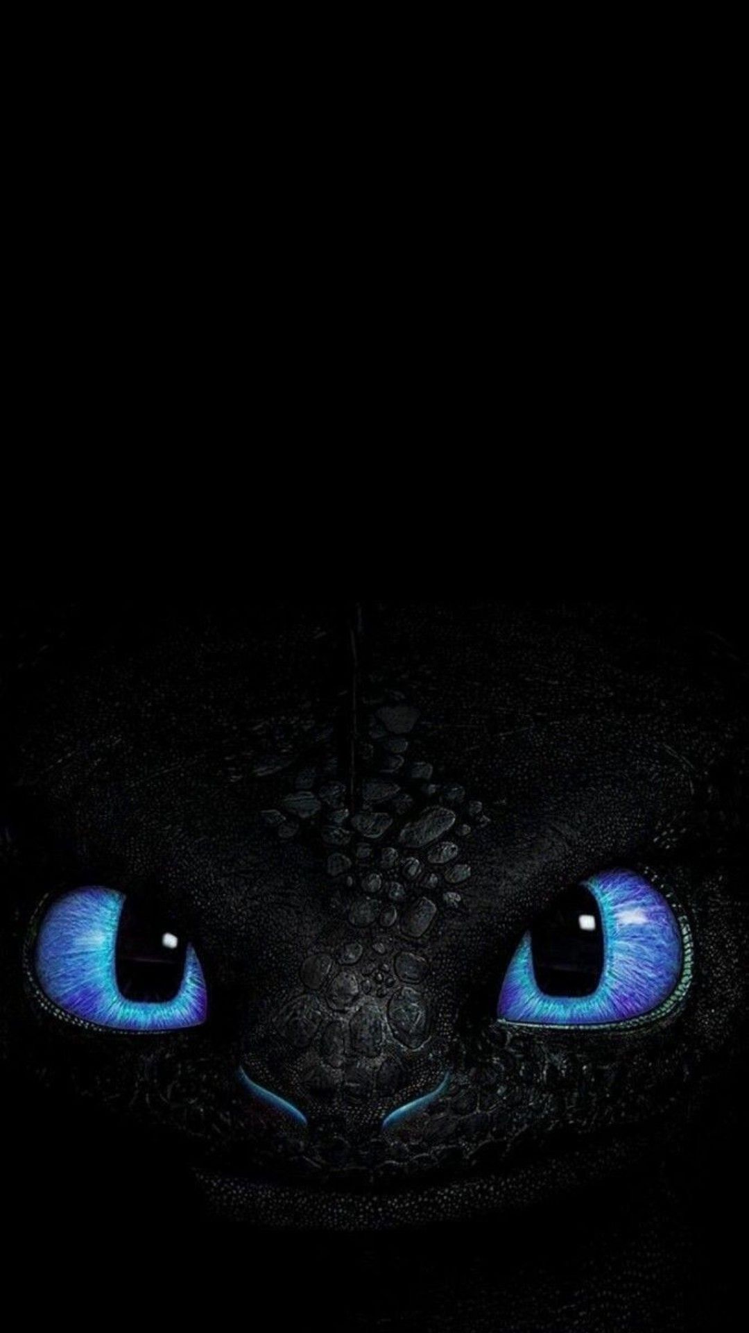 1080x1920 Night Fury Phone Wallpaper