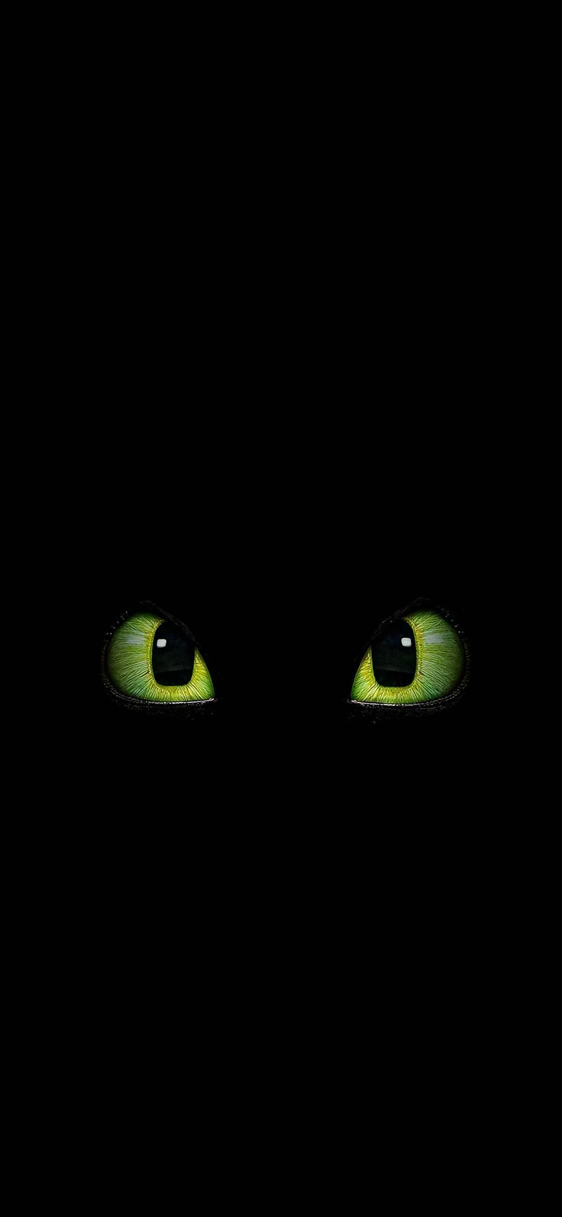 1125x2436 How to Train Your Dragon Aesthetic Dark Toothless Eyes Wallpaper 4k iPhone