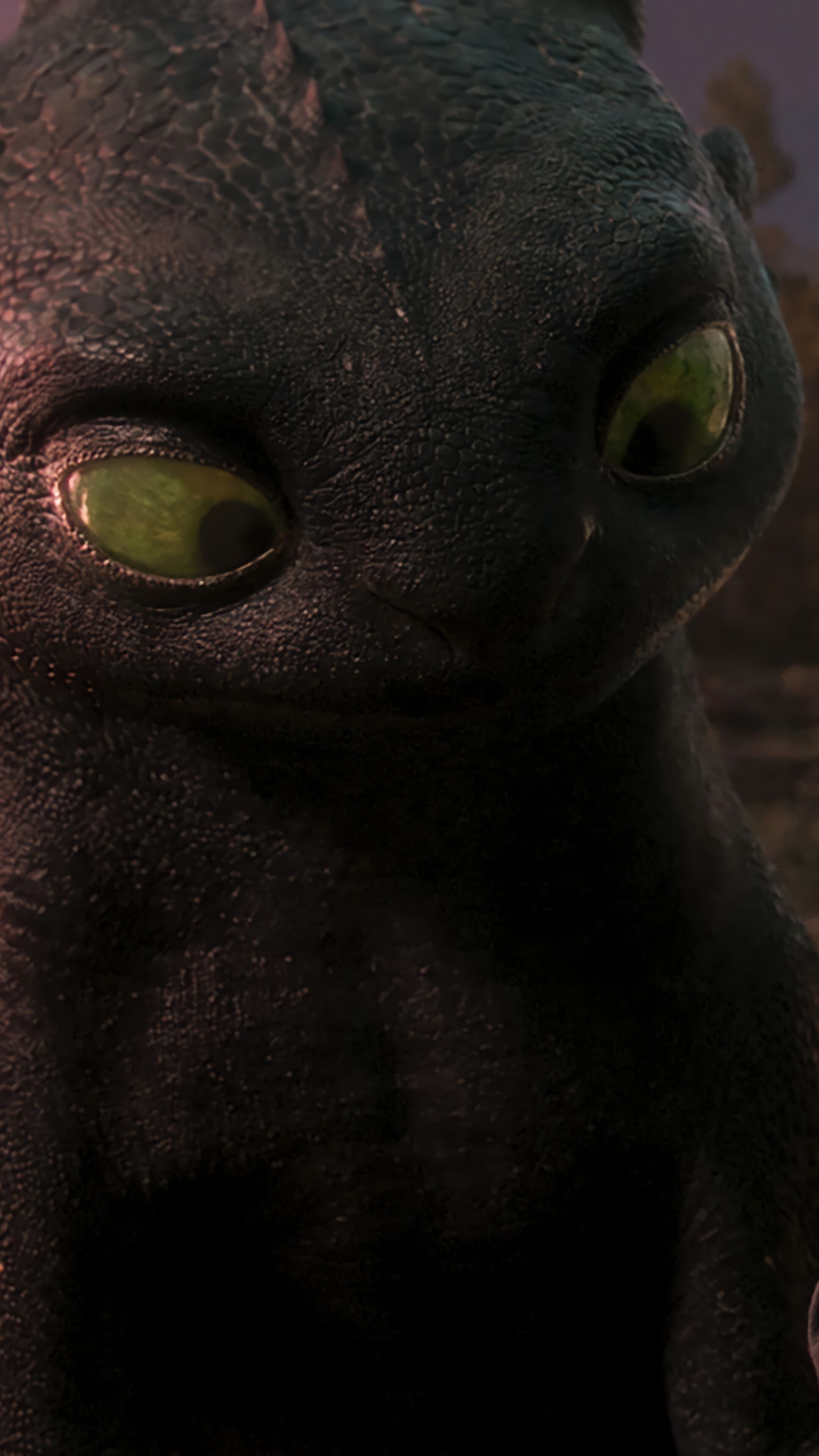 2160x3840 How to Train Your Dragon Toothless Hiccup 2025 4K Wallpaper iPhone HD Phone