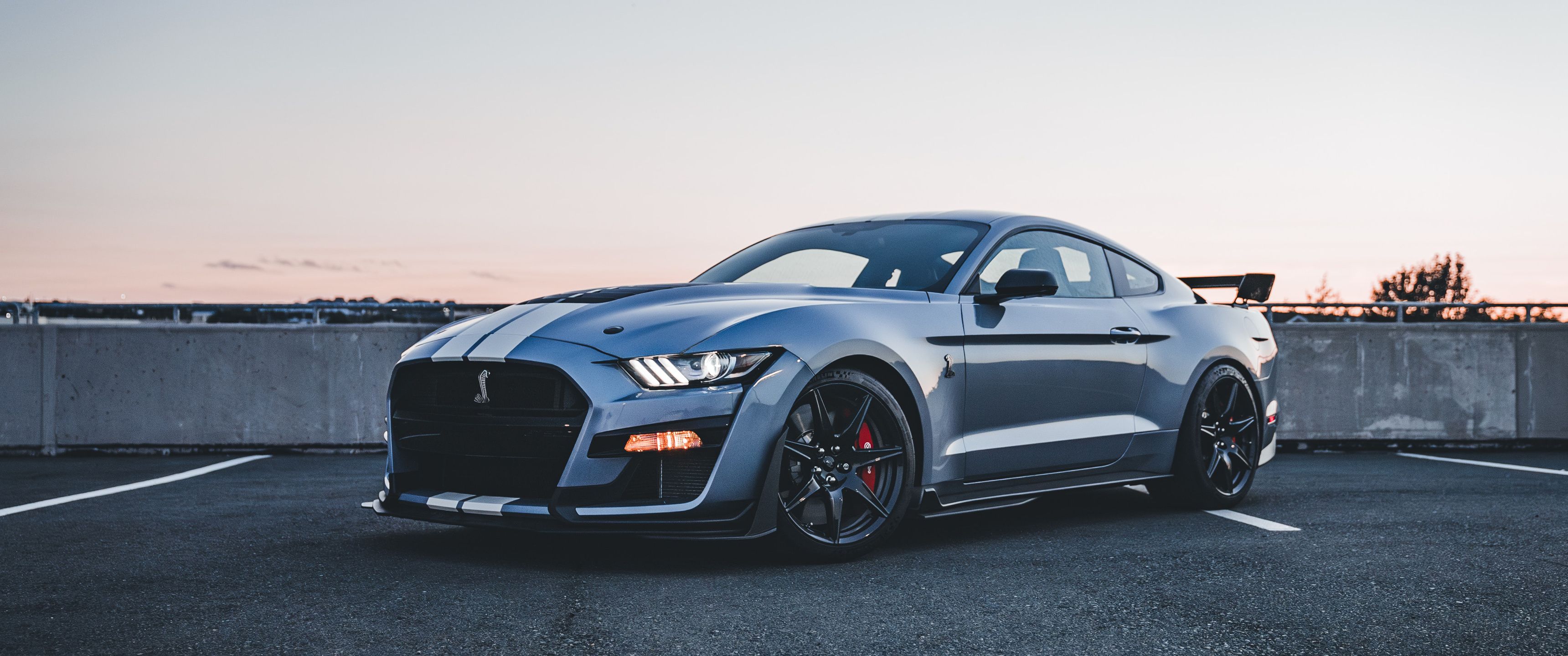 3440x1440 Ford Mustang Shelby Gt500 4k UltraWide Quad HD 1440P , HD 4k Wallpaper, Image, Background, Photos and Picture