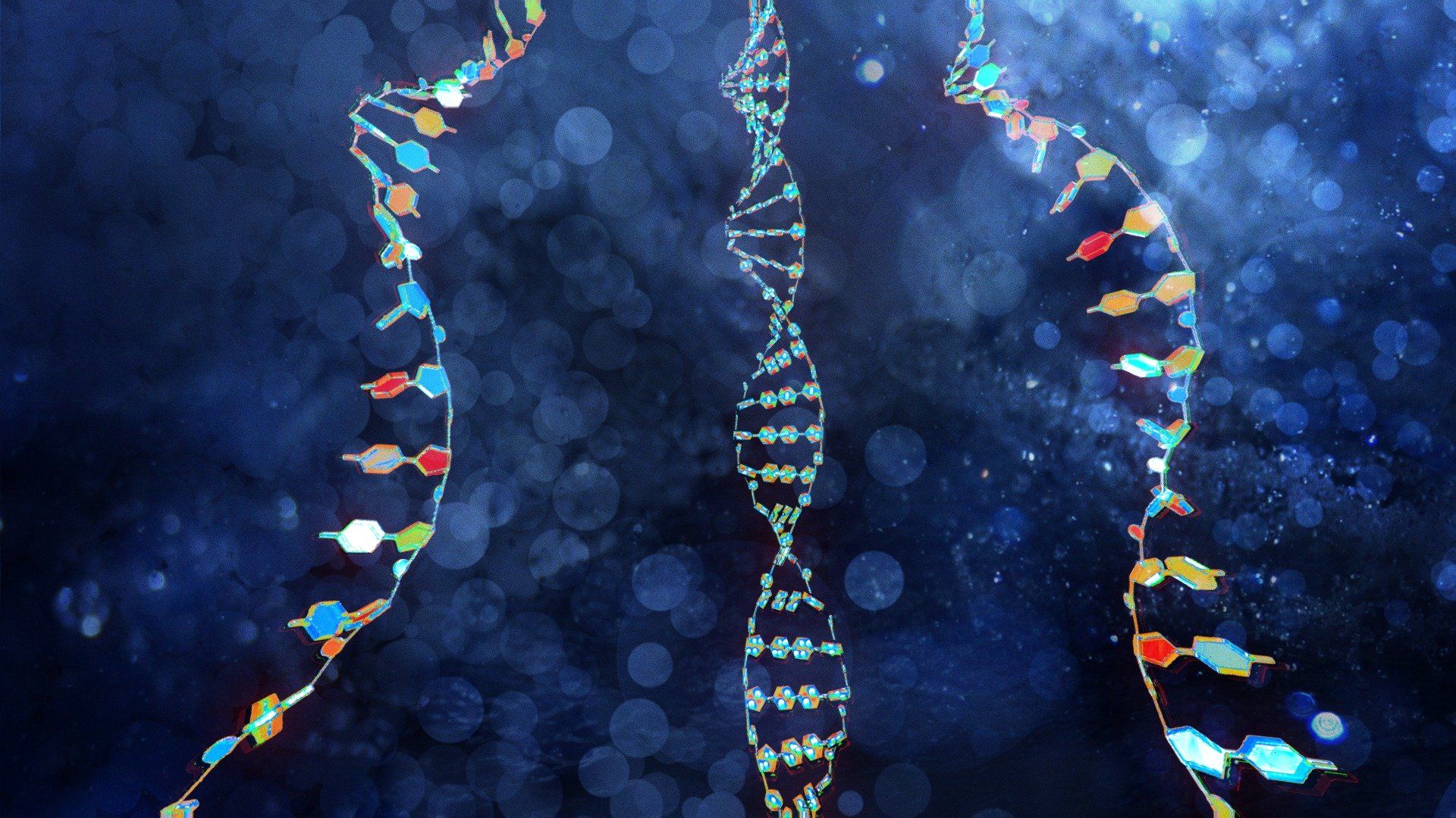 1920x1080 DNA, RNA Animated Visualization Free 3D model by Orpind [f0ef115]