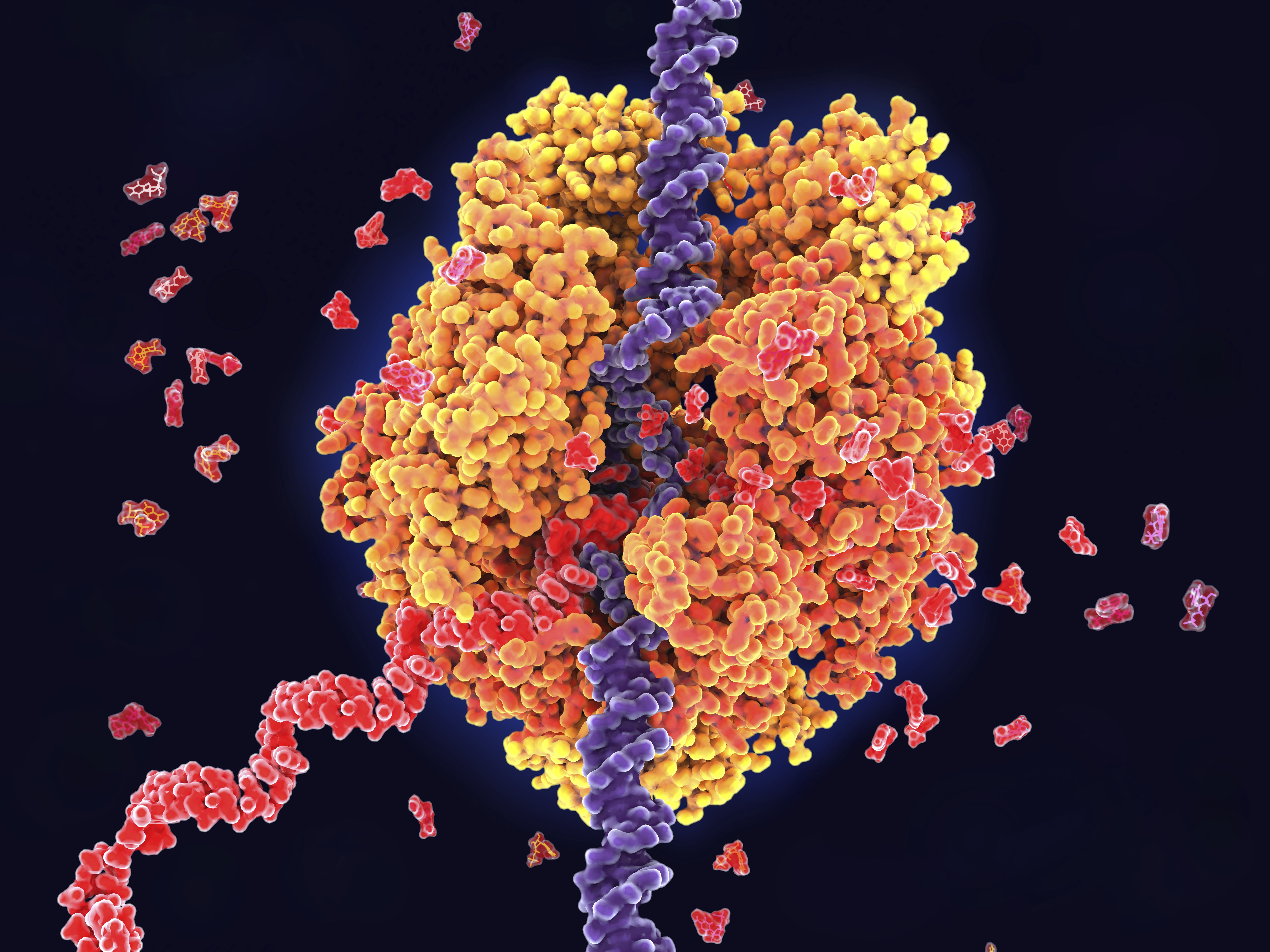 6827x5120 Massive Project to Understand Our Genes Reveals Secrets of RNA