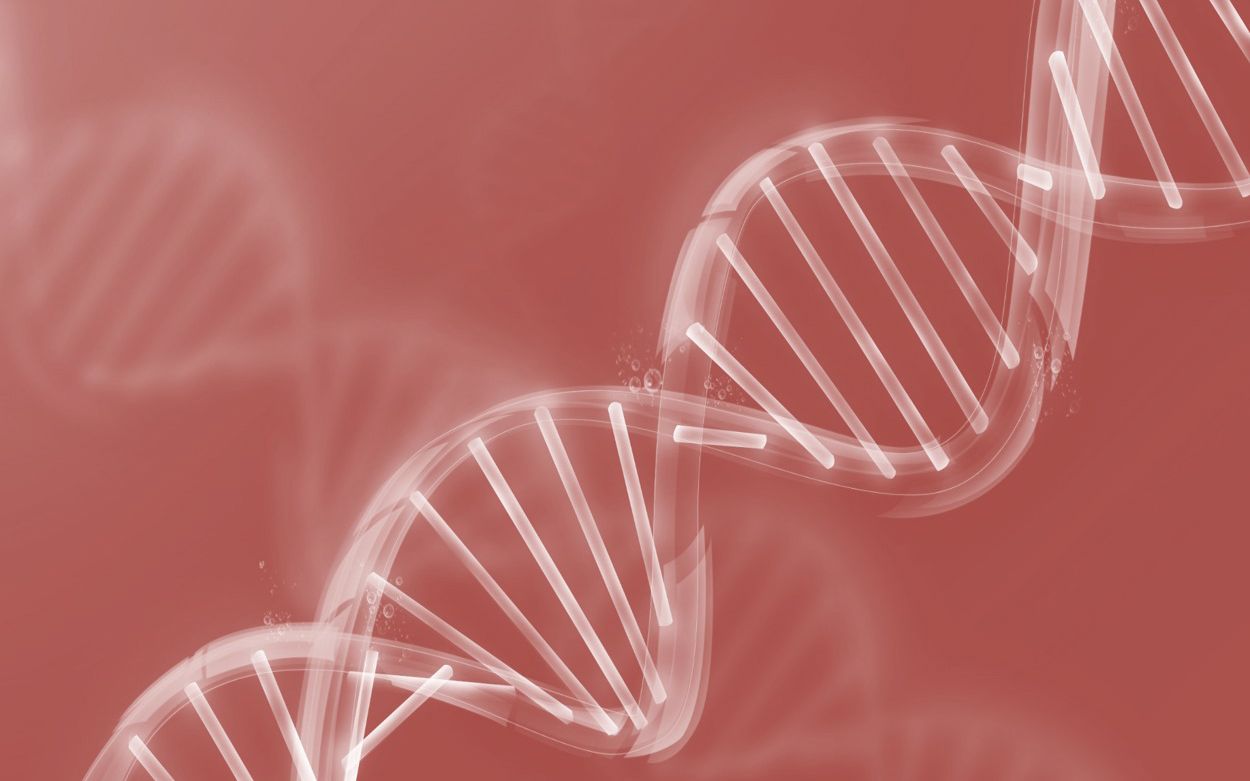 1250x781 Research