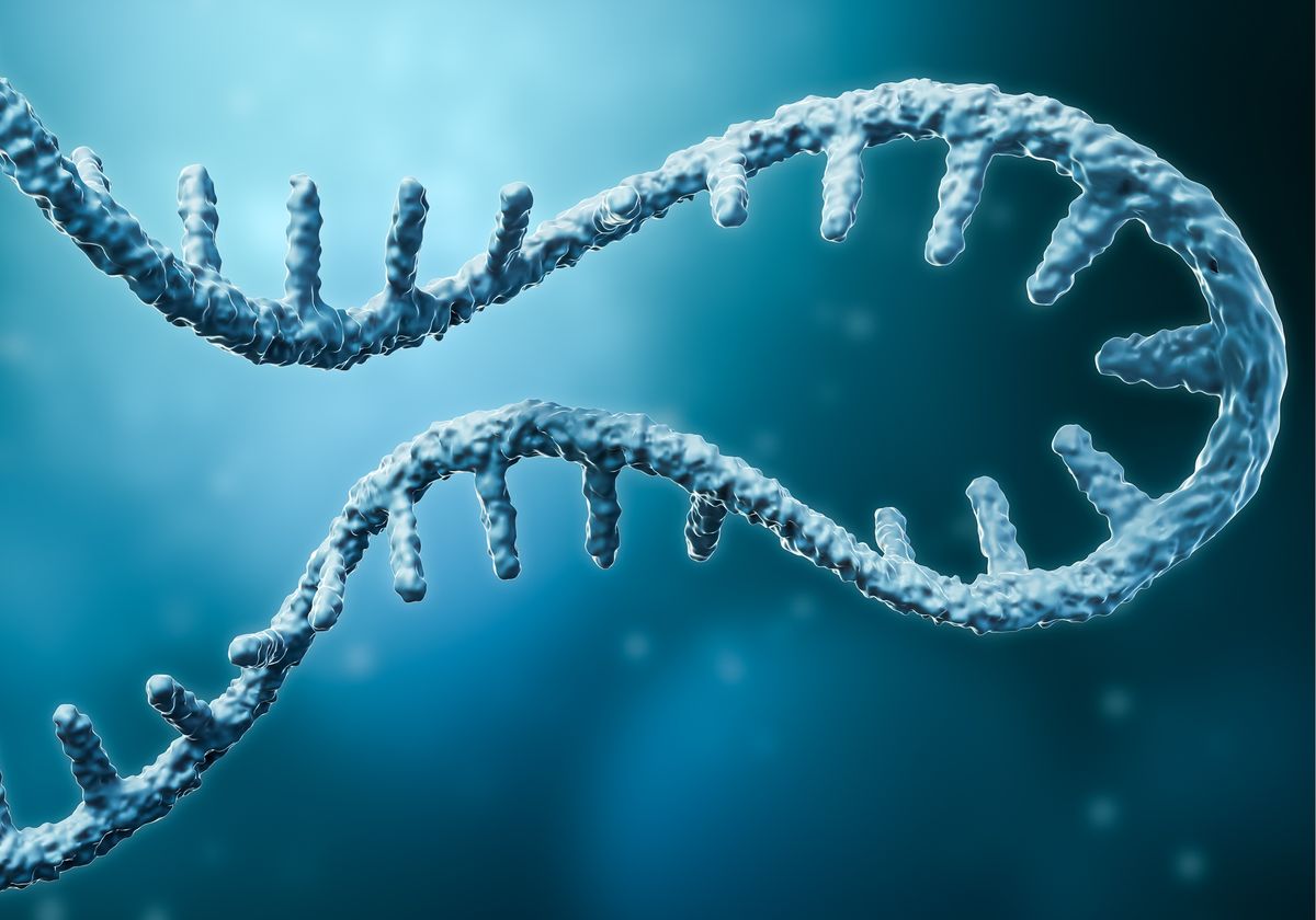 1200x840 Deficient RNA Editing Implicated in Inflammatory Disease