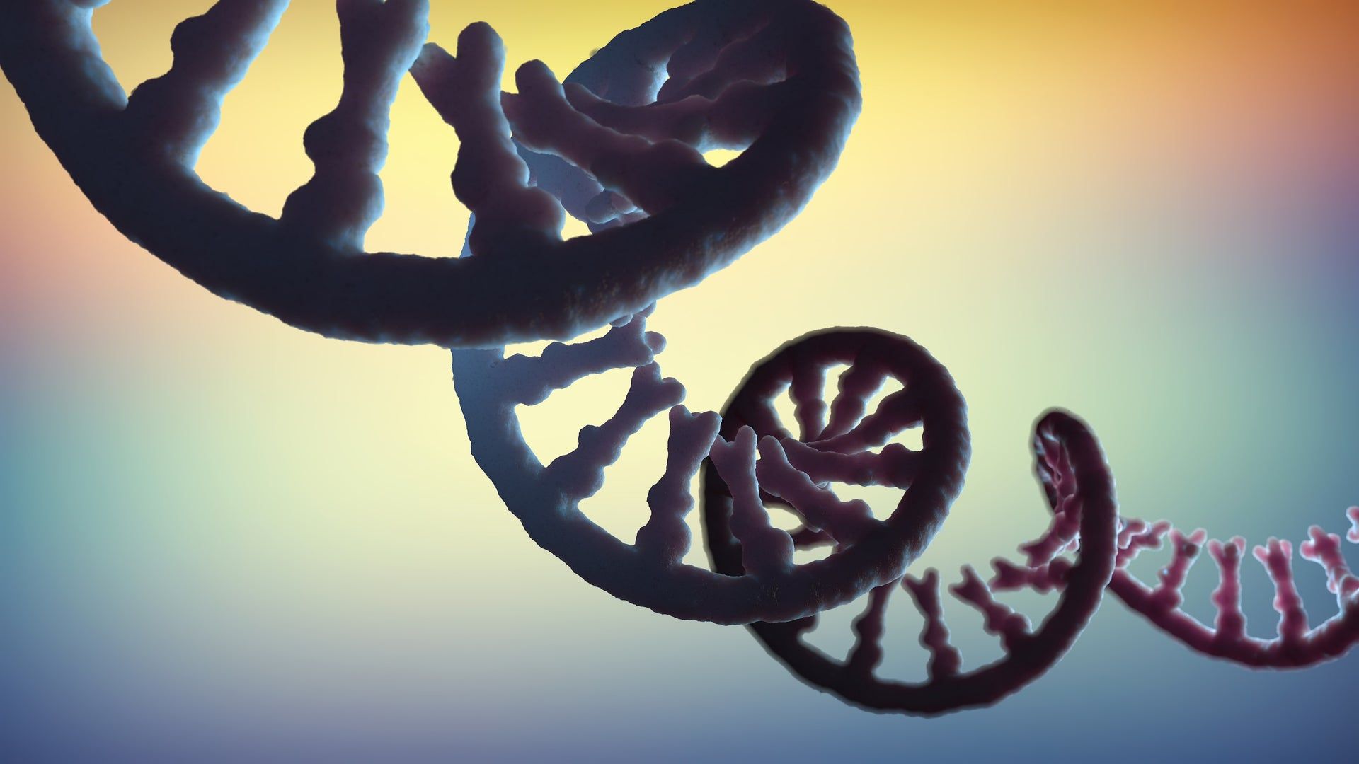 1920x1080 RNA May Be Common throughout the Cosmos, New Study Suggests