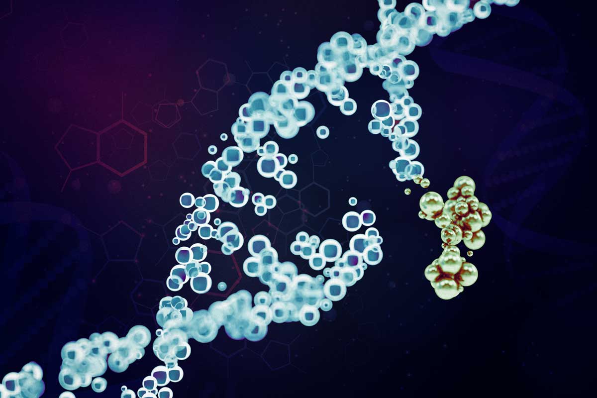 1200x800 A more precise way to edit the genome. MIT News. Massachusetts Institute of Technology