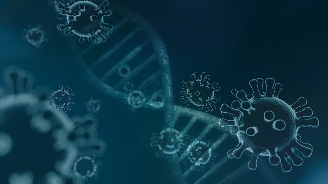 1280x720 Free Rna Rna Jultomten & Rna Image