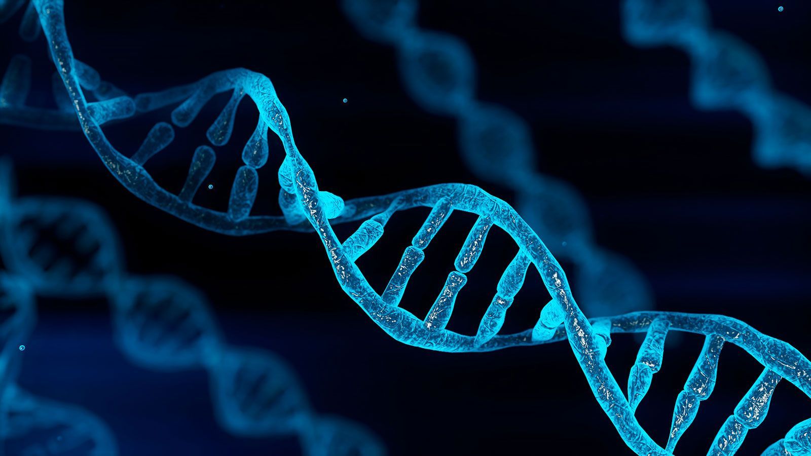 1600x900 DNA. Definition, Discovery, Function, Bases, Facts, & Structure