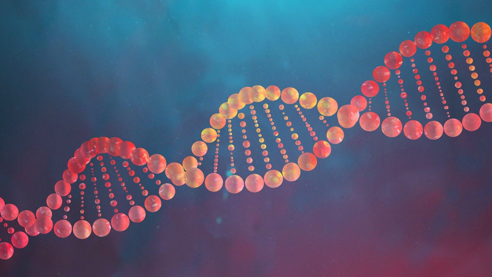 1600x900 How DNA Works