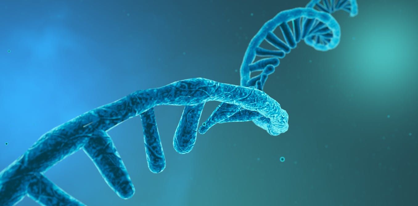 1356x668 Three ways RNA is being used in the next generation of medical treatment