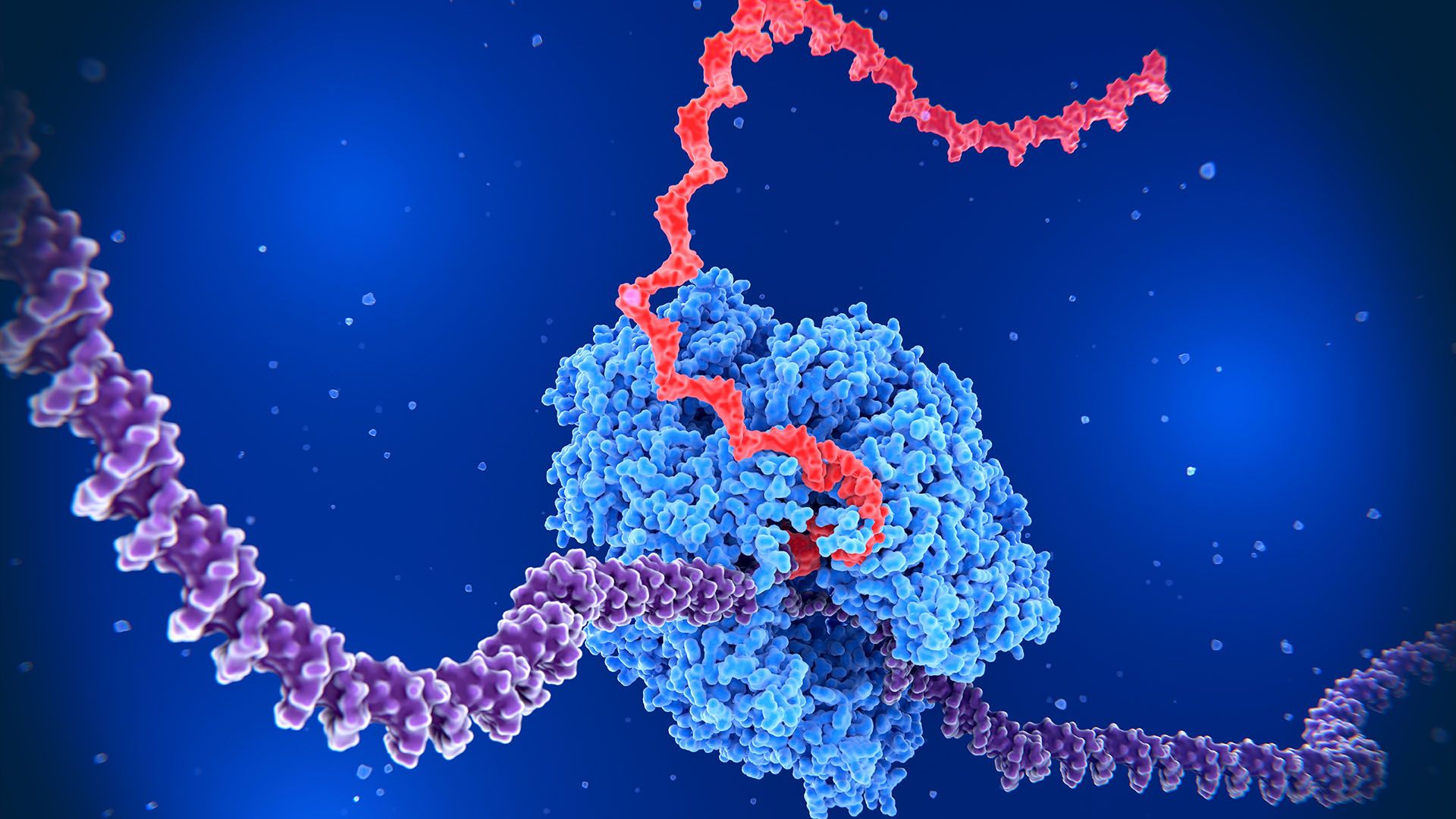 1920x1080 Scientists just discovered a new way cells control their genes