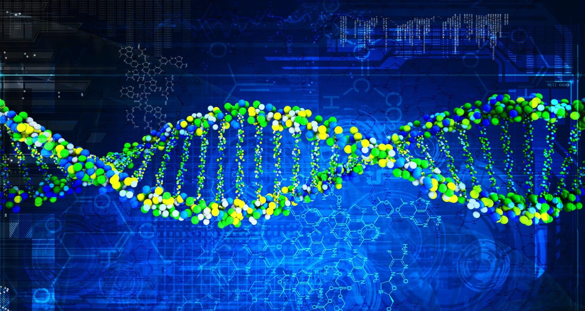 2048x1088 Understanding the Structure and Function of RNA