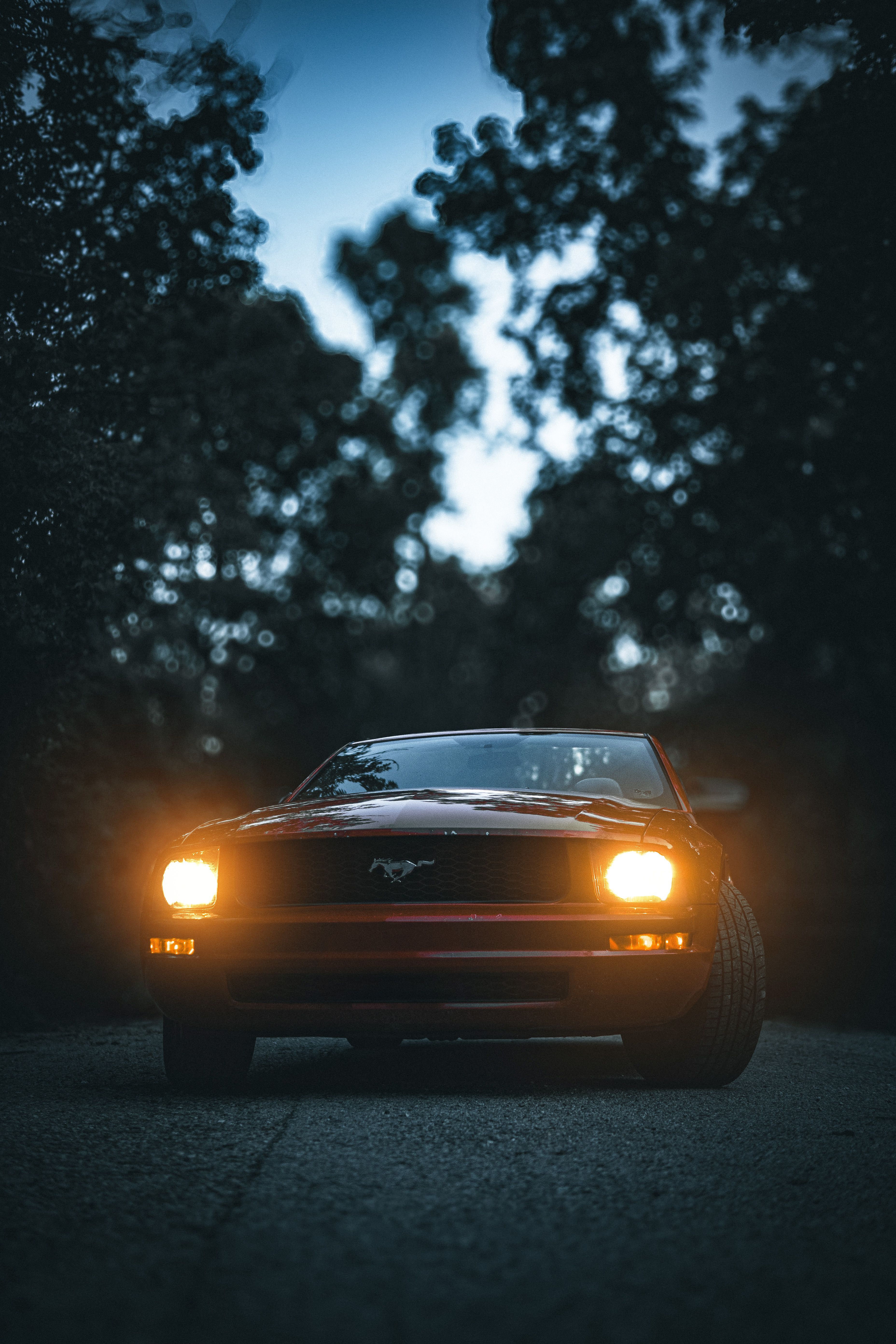 3712x5568 A car is parked in the woods at night · Free