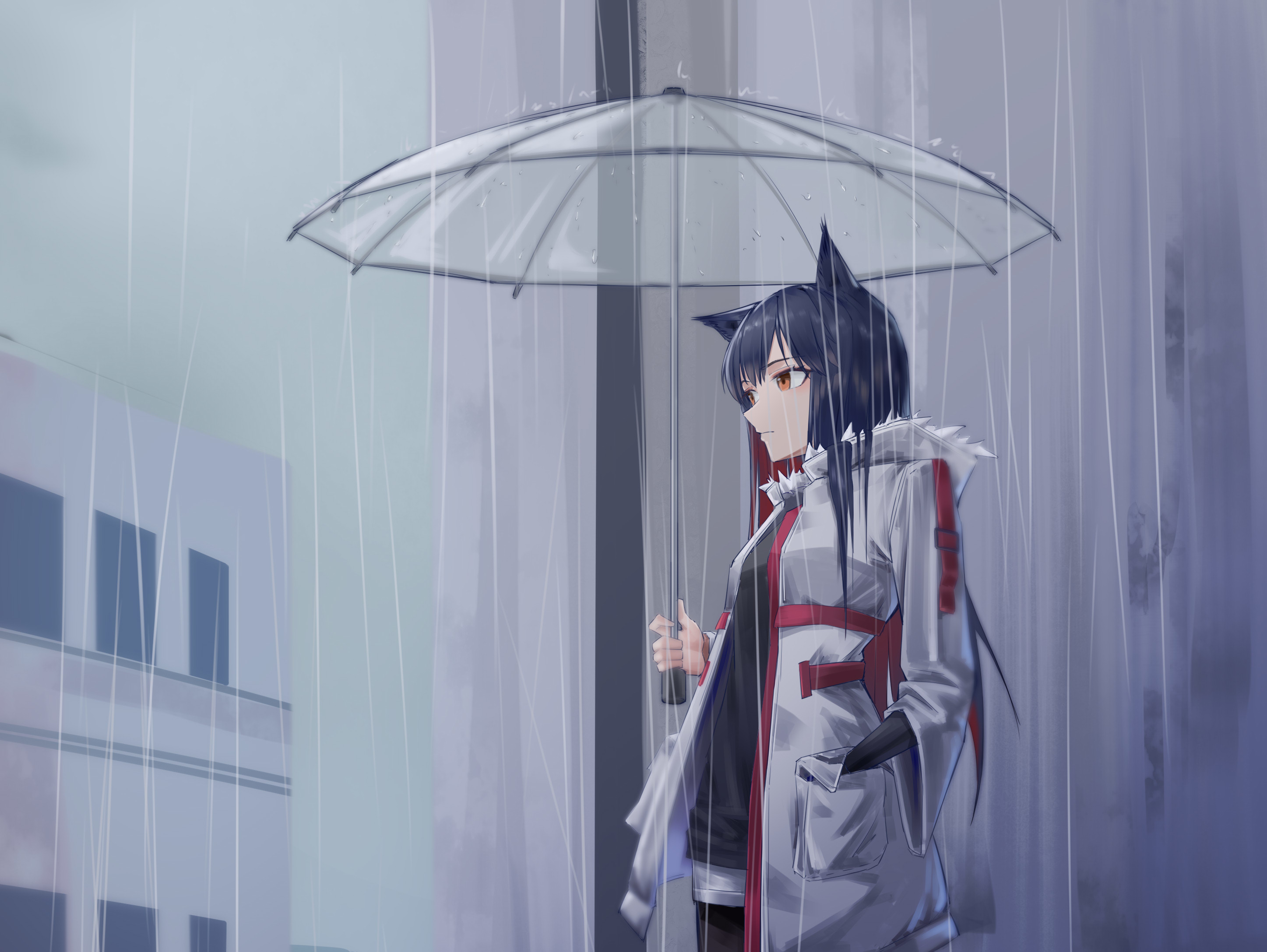 2894x2175 Texas in Rain Arknights Wallpaper, HD Anime 4K Wallpaper, Image and Background