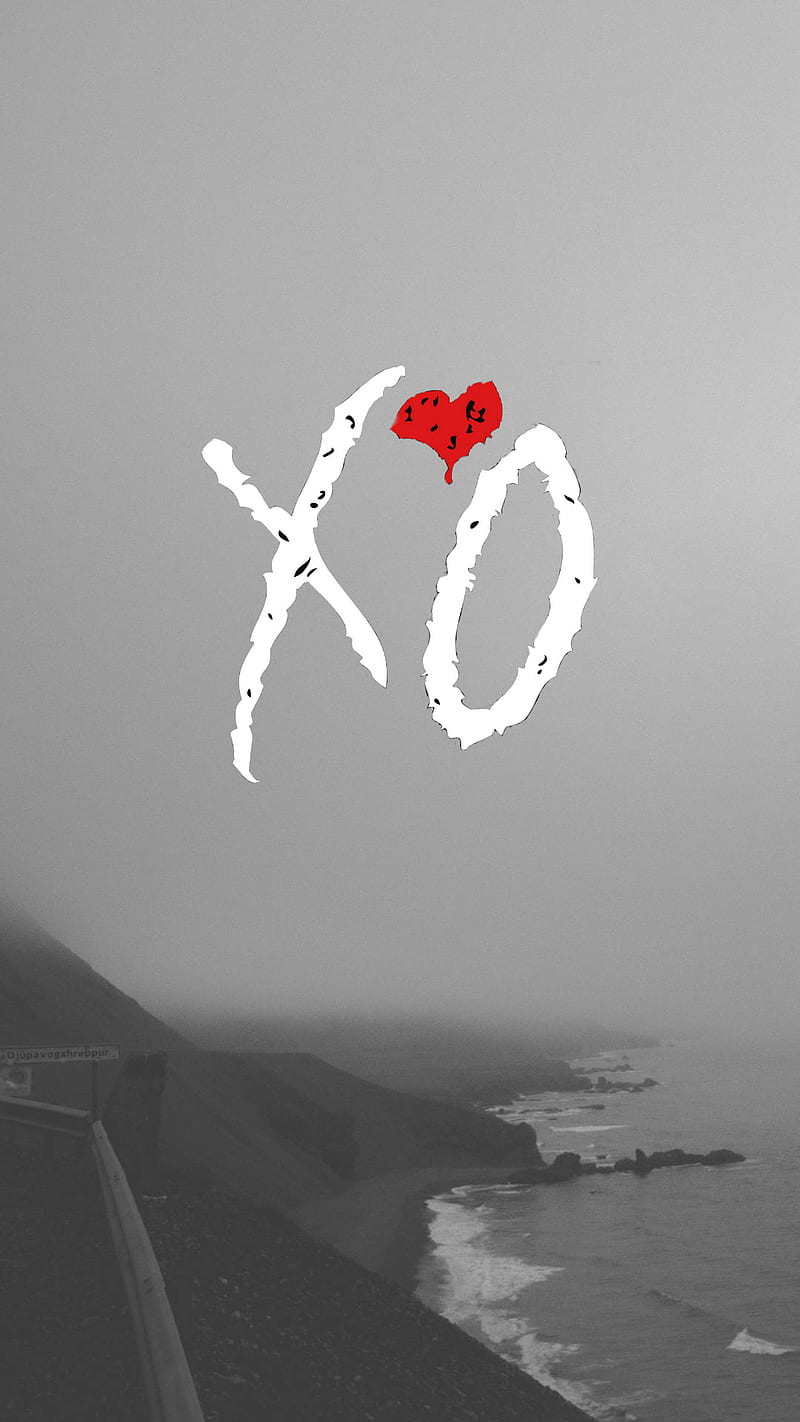 800x1422 HD house of balloons xo wallpaper