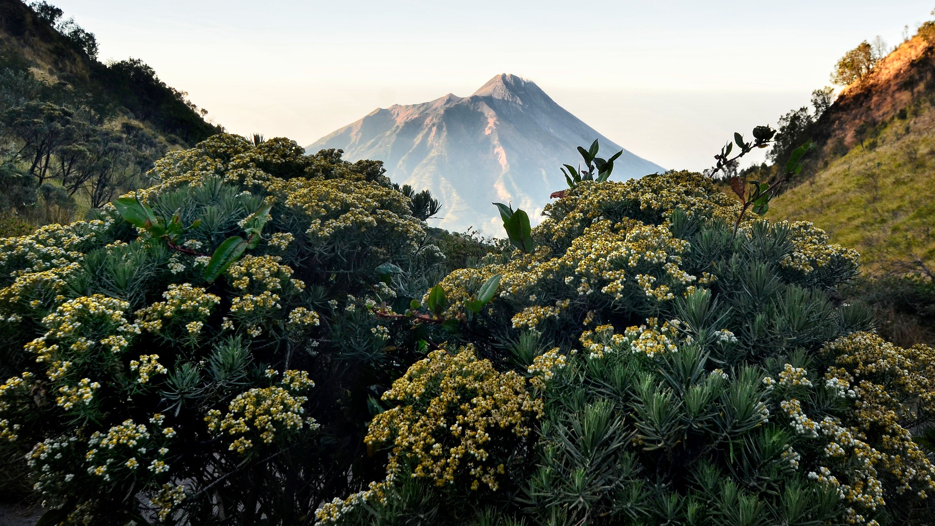3927x2211 Mount Merbabu National Park