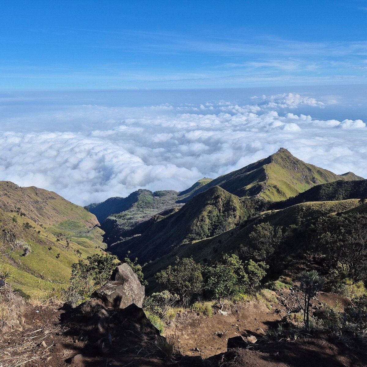 1200x1200 Mount Merbabu National Park You SHOULD Know Before Going 2026 (with Reviews)