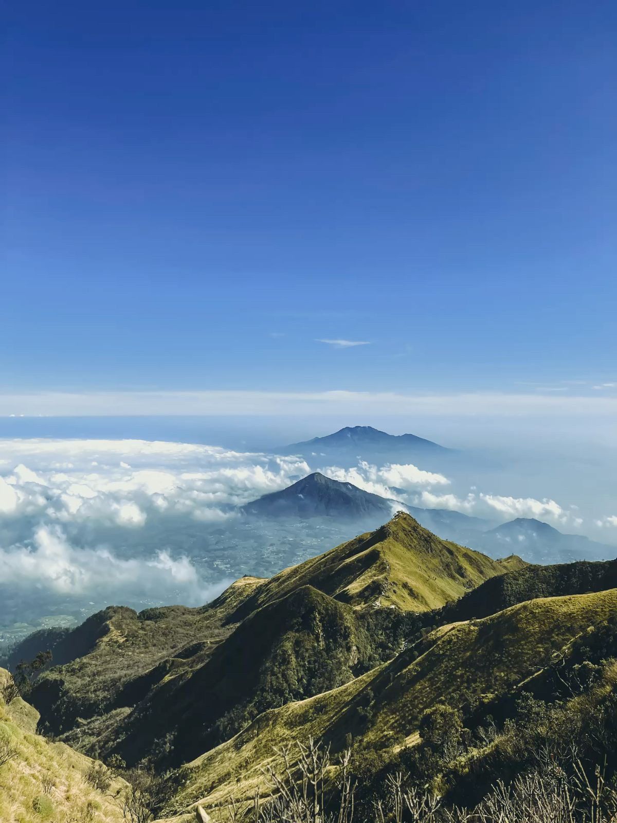 1200x1600 UNREAL VIEW FROM MT MERBABU hiking. Trip.com Selo