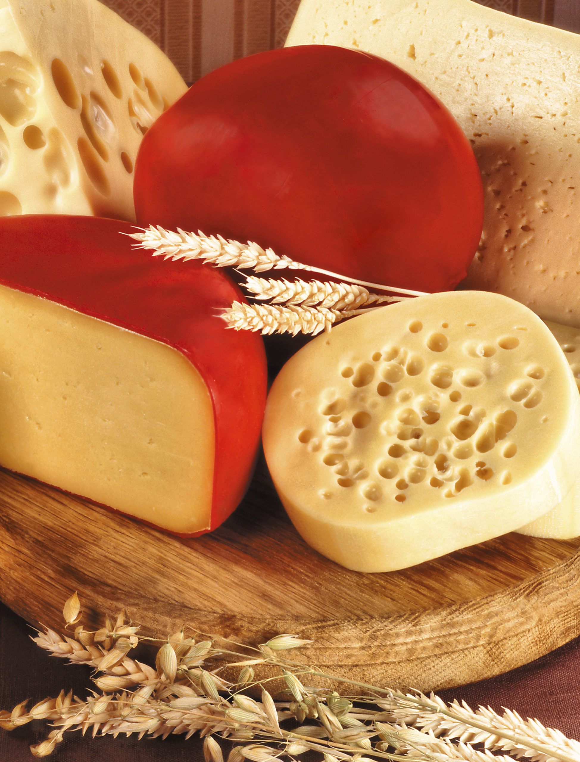 1948x2560 Gouda Cheese Wallpaper