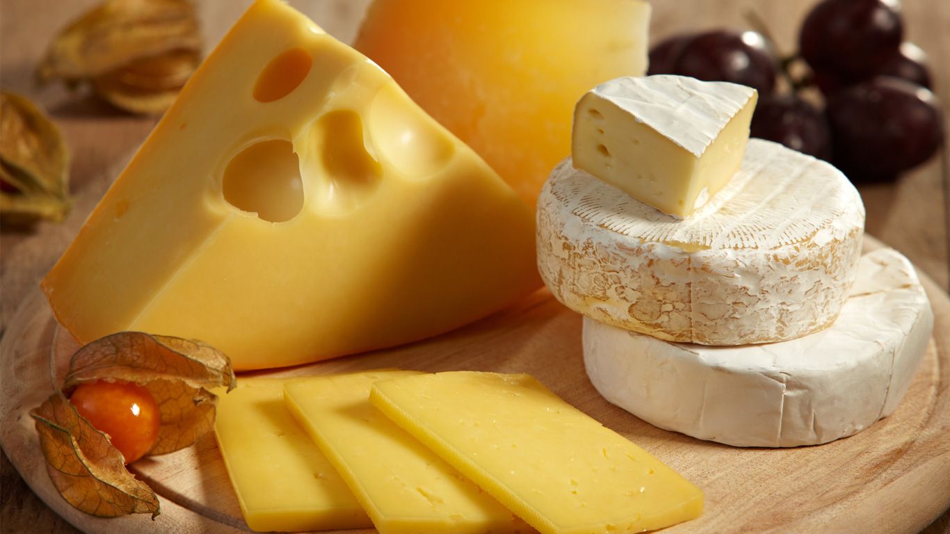 1366x768 Gouda Cheese Wallpaper