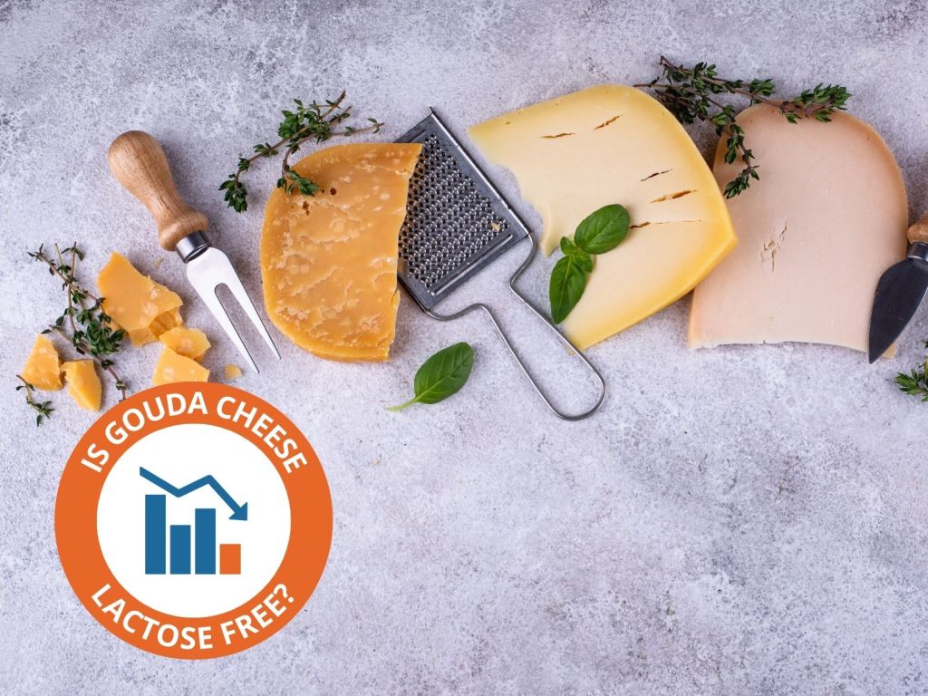 1024x768 Is Gouda Cheese Lactose Free? (Tips for Lactose Intolerants)