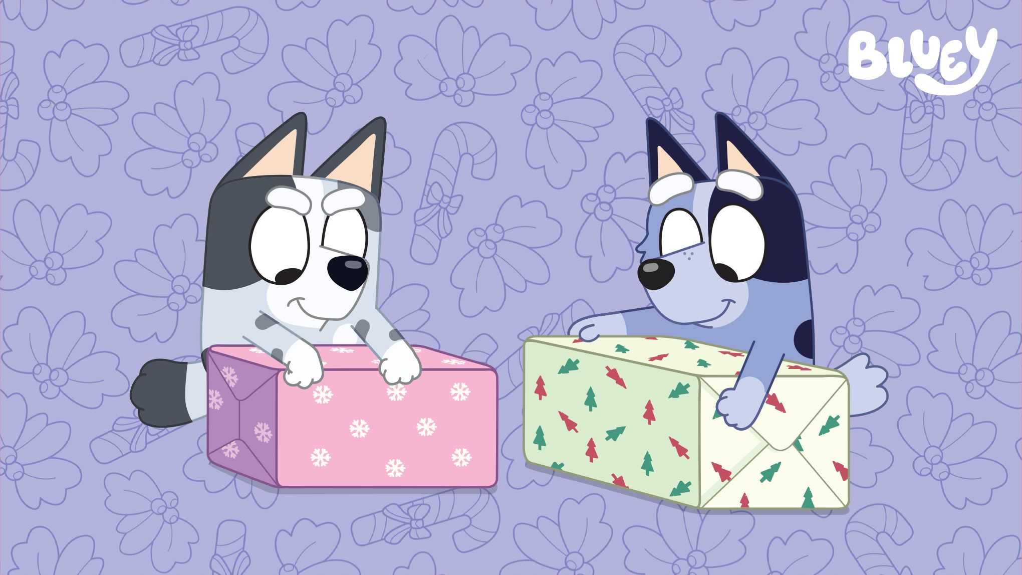 2040x1147 More Bluey Christmas Wallpaper Official Website