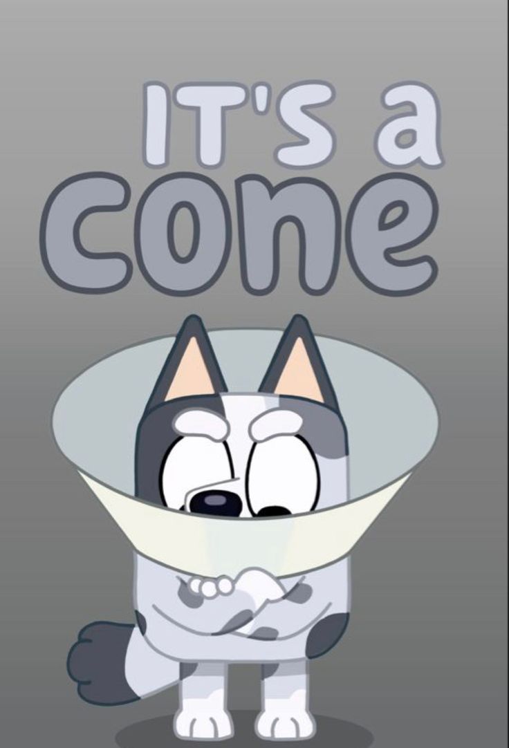 736x1082 muffin) It's a cone