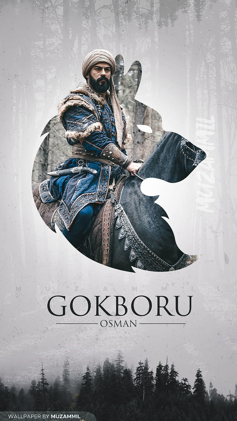 800x1422 Gokboru Osman, ertugrul, ghazi, islamic, kurlus, pakistan, pakistani, turkey, HD phone wallpaper
