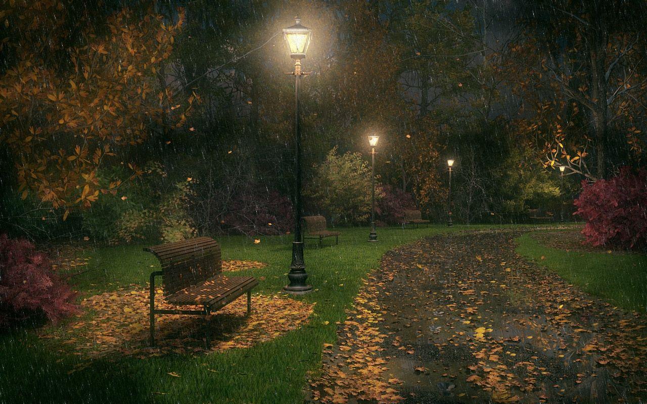 Вечер дождь осенняя. Осенняя ночь. Осенний вечер в саду. Осень ночь. Осенний сад.