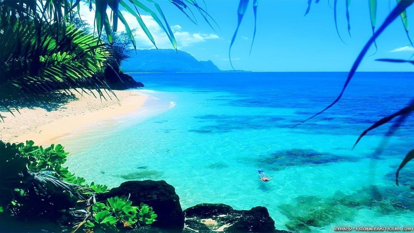 1366x768 Summer Wallpaper 3 Best Wallpaper Collection Desktop Background