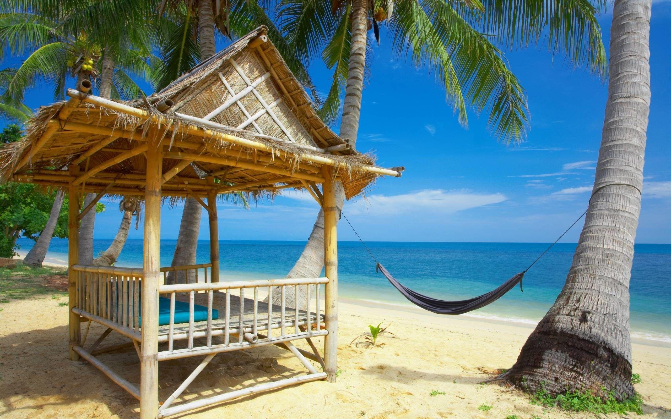 2560x1600 Summer Wallpaper