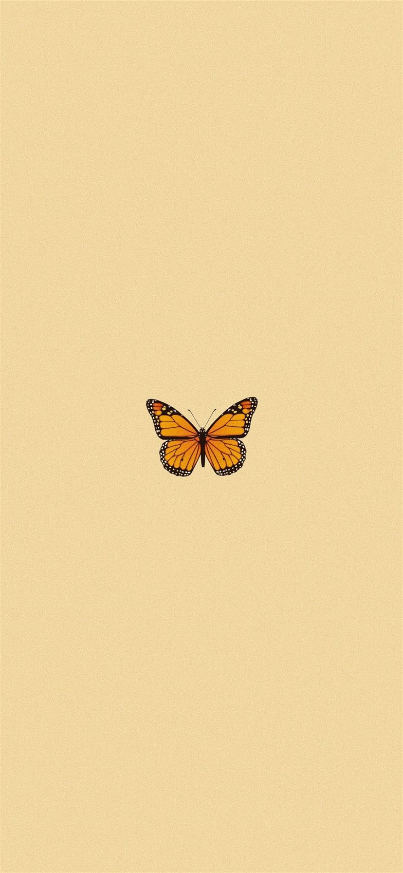 828x1792 ig kaylaknguyen aestheticiphone iPhone 11 Wallpaper Free Download
