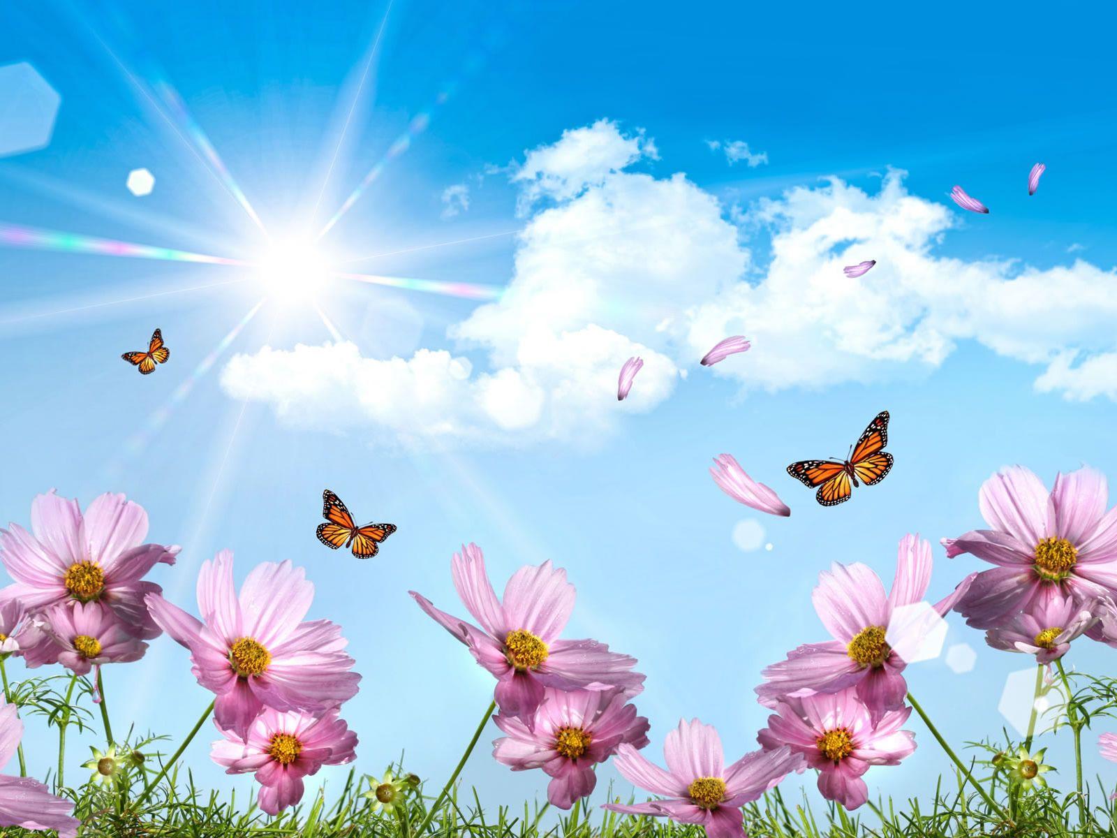 1600x1200 wallpaper hd: Summer Wallpaper