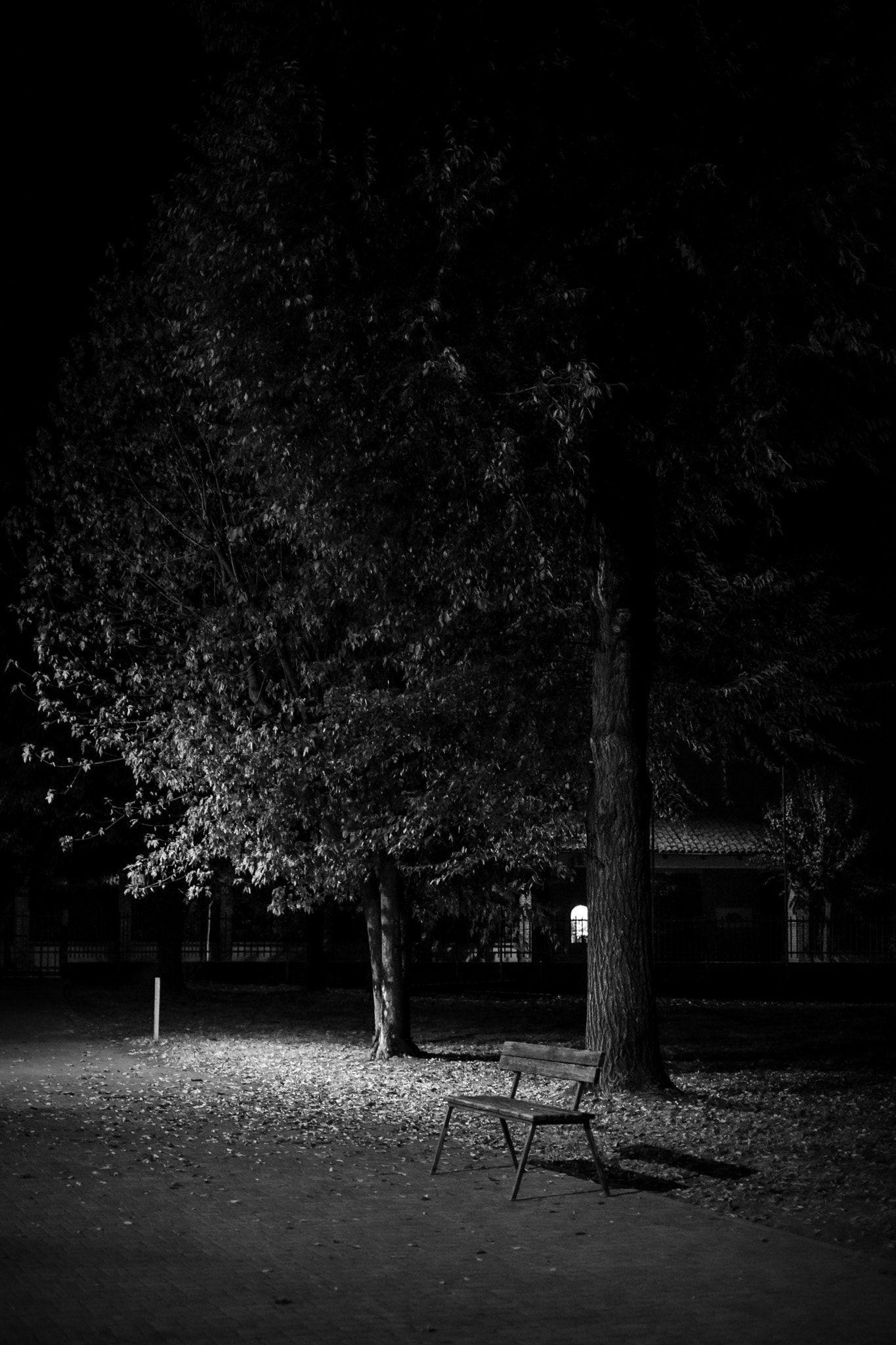 1365x2048 Autumn Night and the trees are stripped bare Of all
