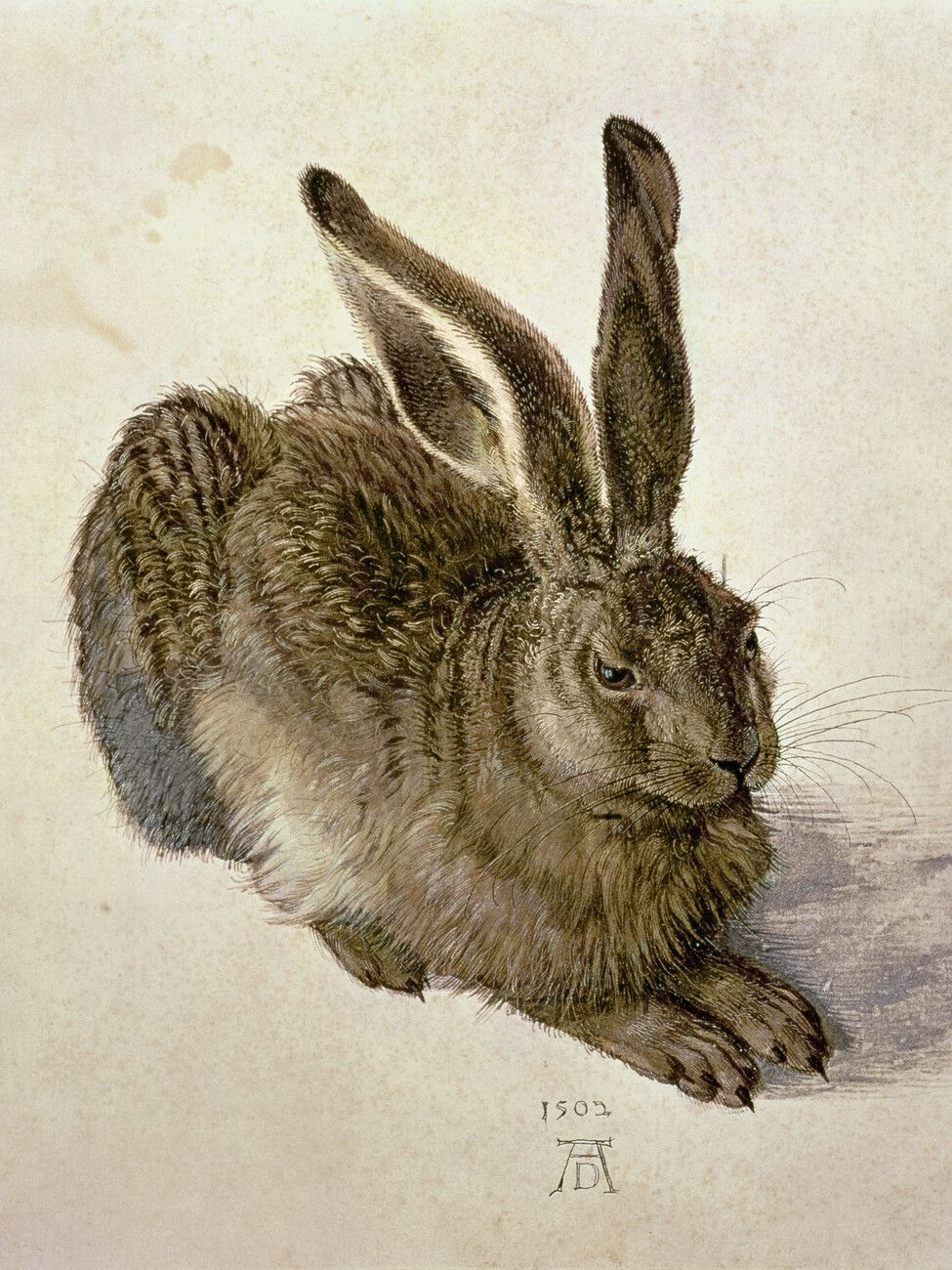 975x1300 Poster Hare (1502)