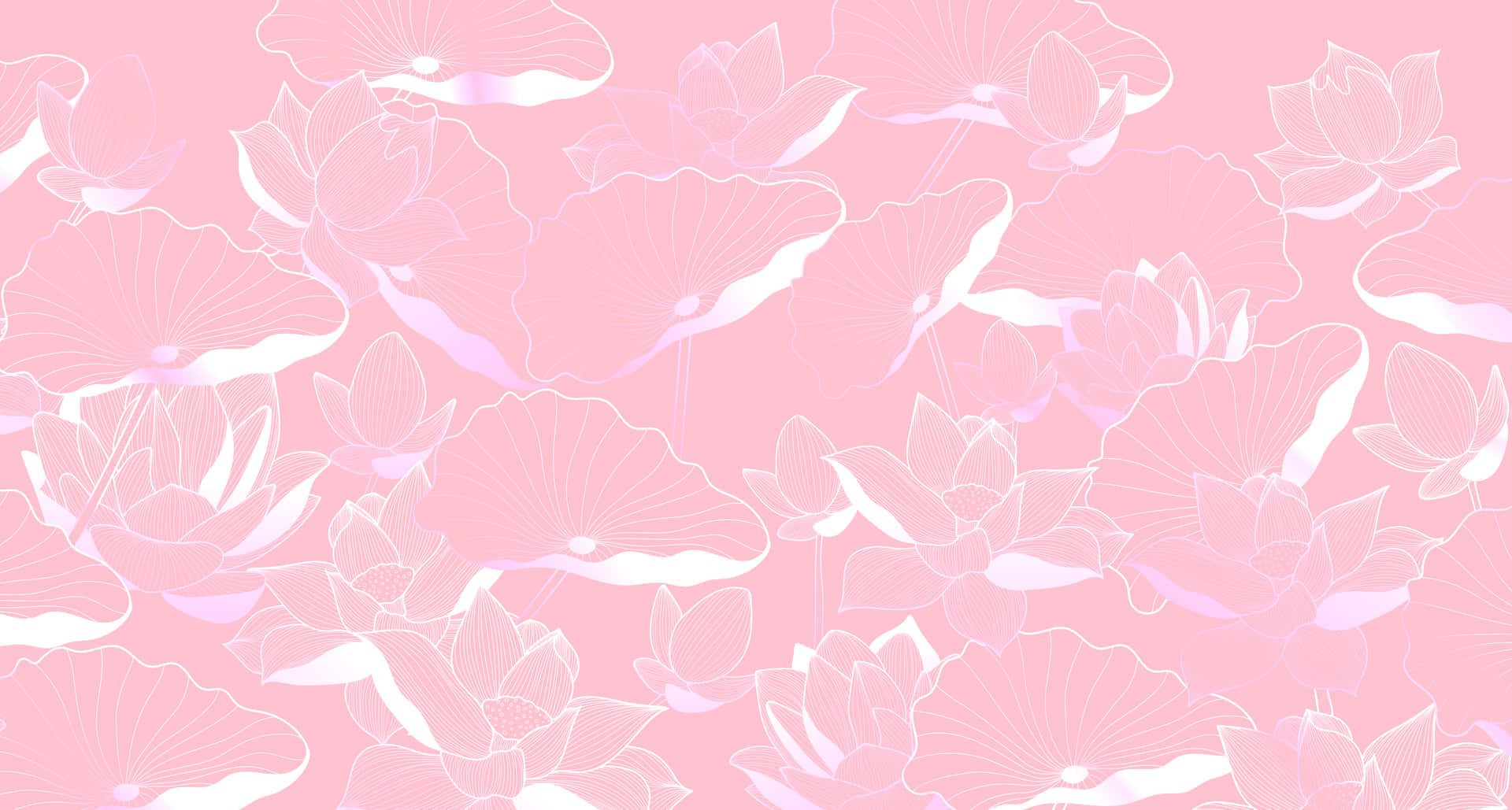 1920x1029 Download 5K Desktop Pink Aesthetic Wallpaper