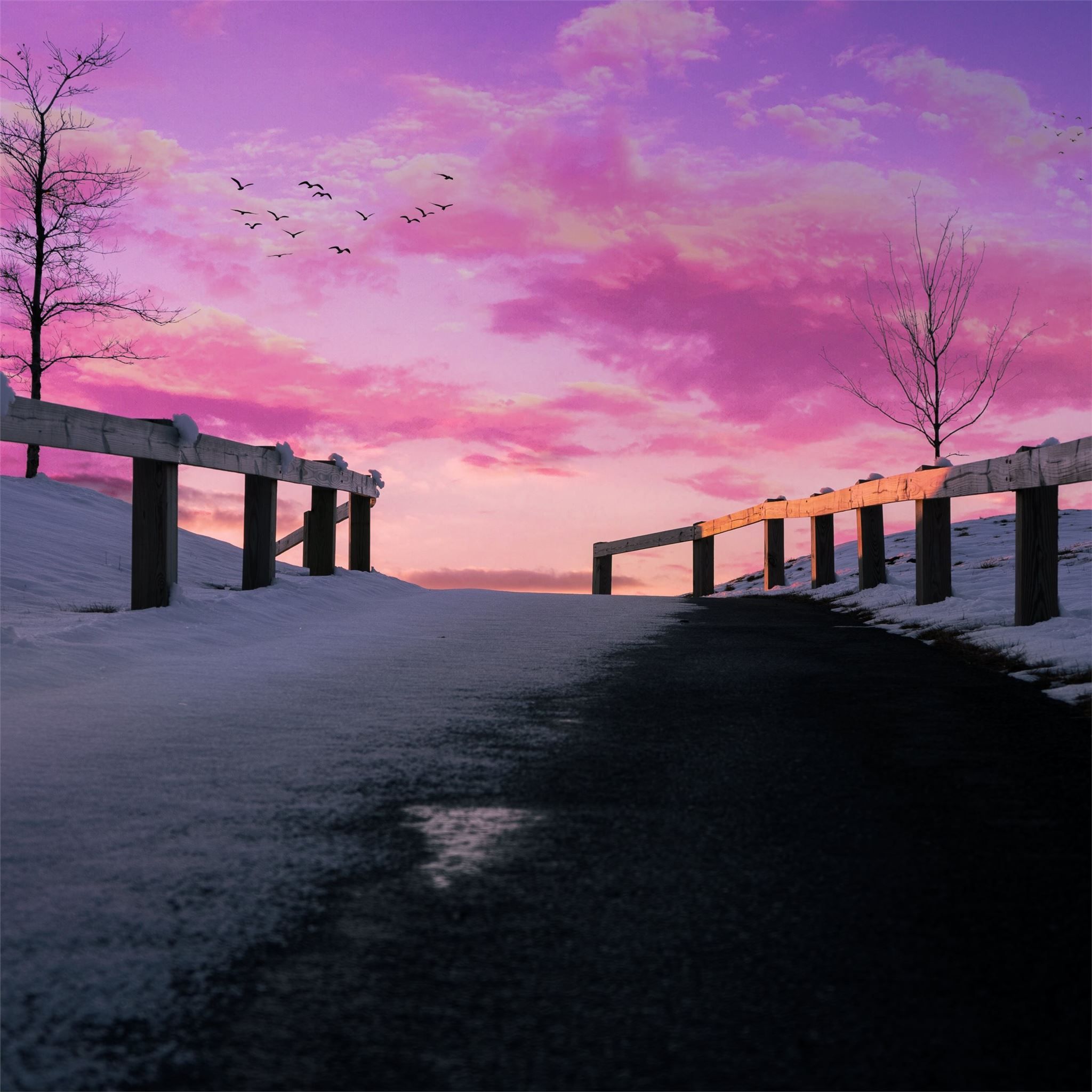 2048x2048 aesthetics pink pink sky 5k iPad Air Wallpaper Free Download