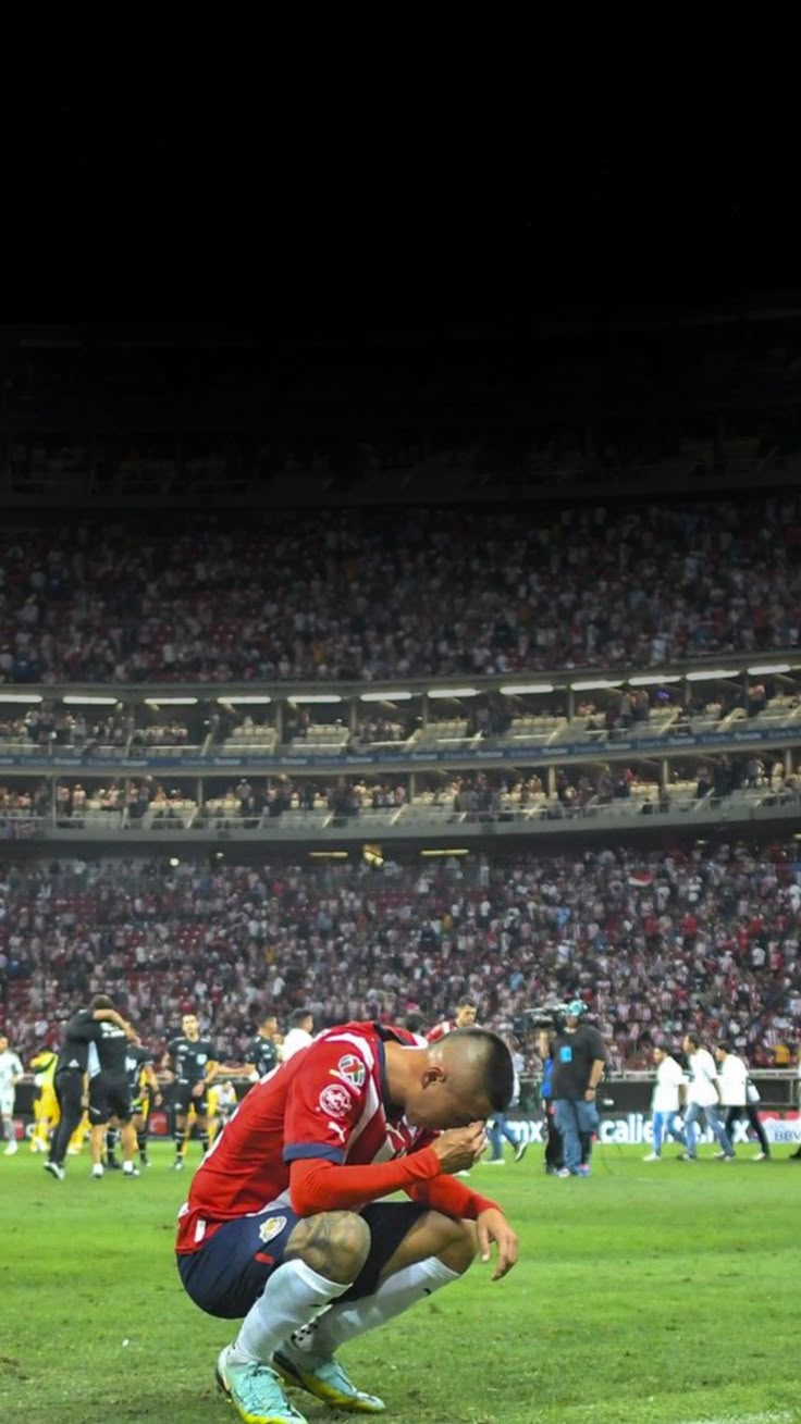 736x1309 Piojo Alvarado wallpaper
