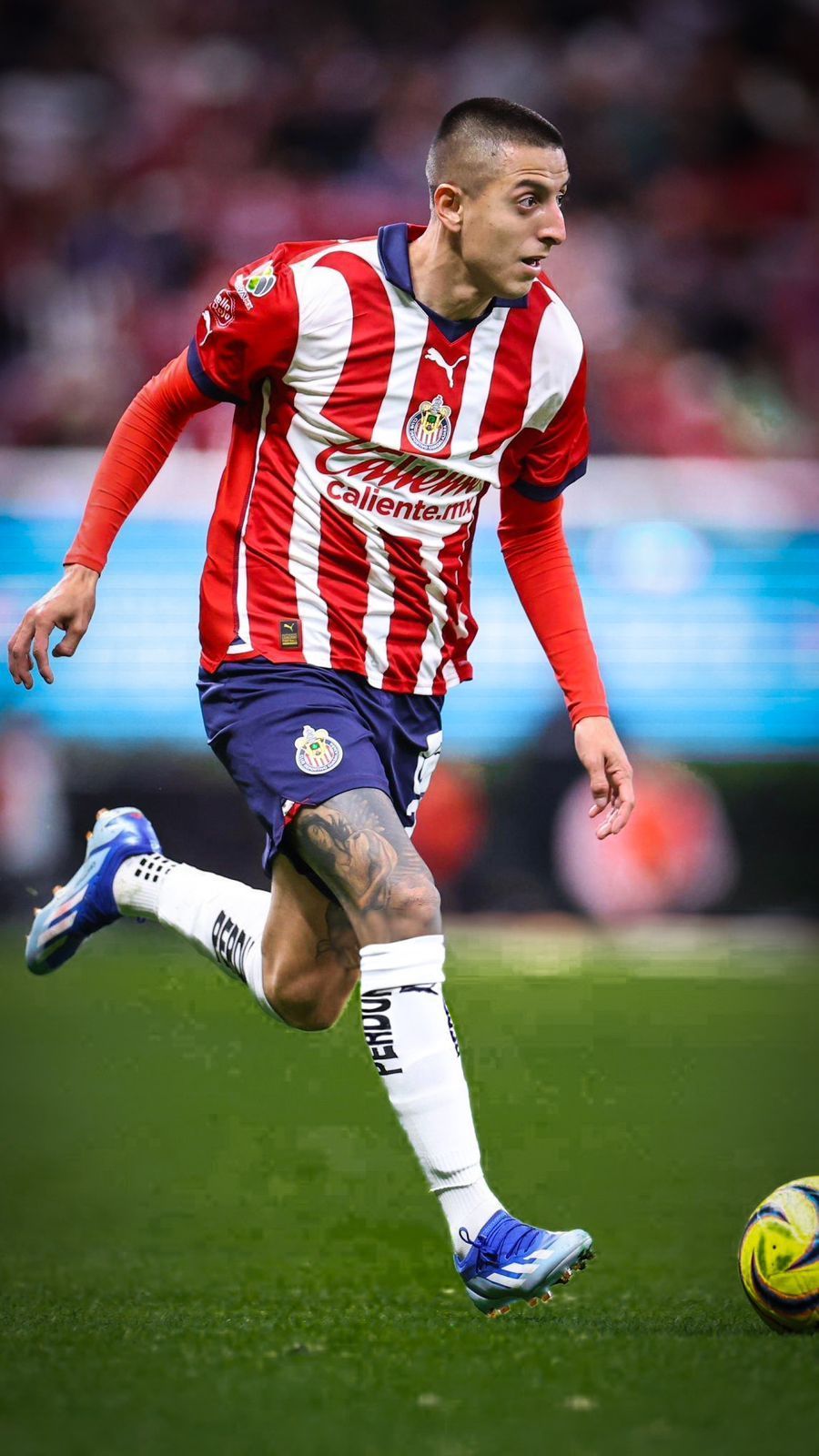 900x1600 Discover 11 Piojo Alvarado