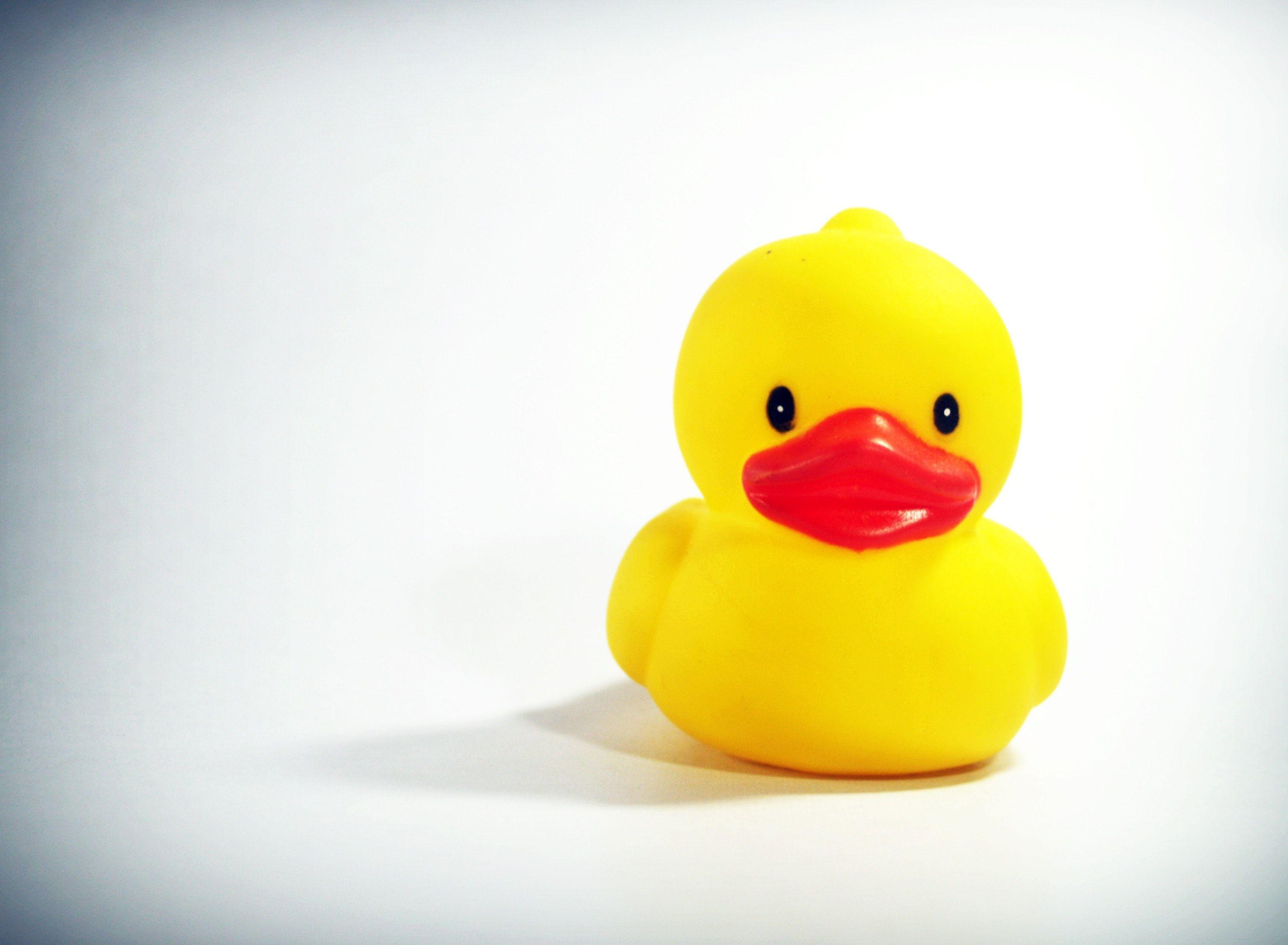 Yellow Duck Wallpapers - Top Free Yellow Duck Backgrounds - WallpaperAccess