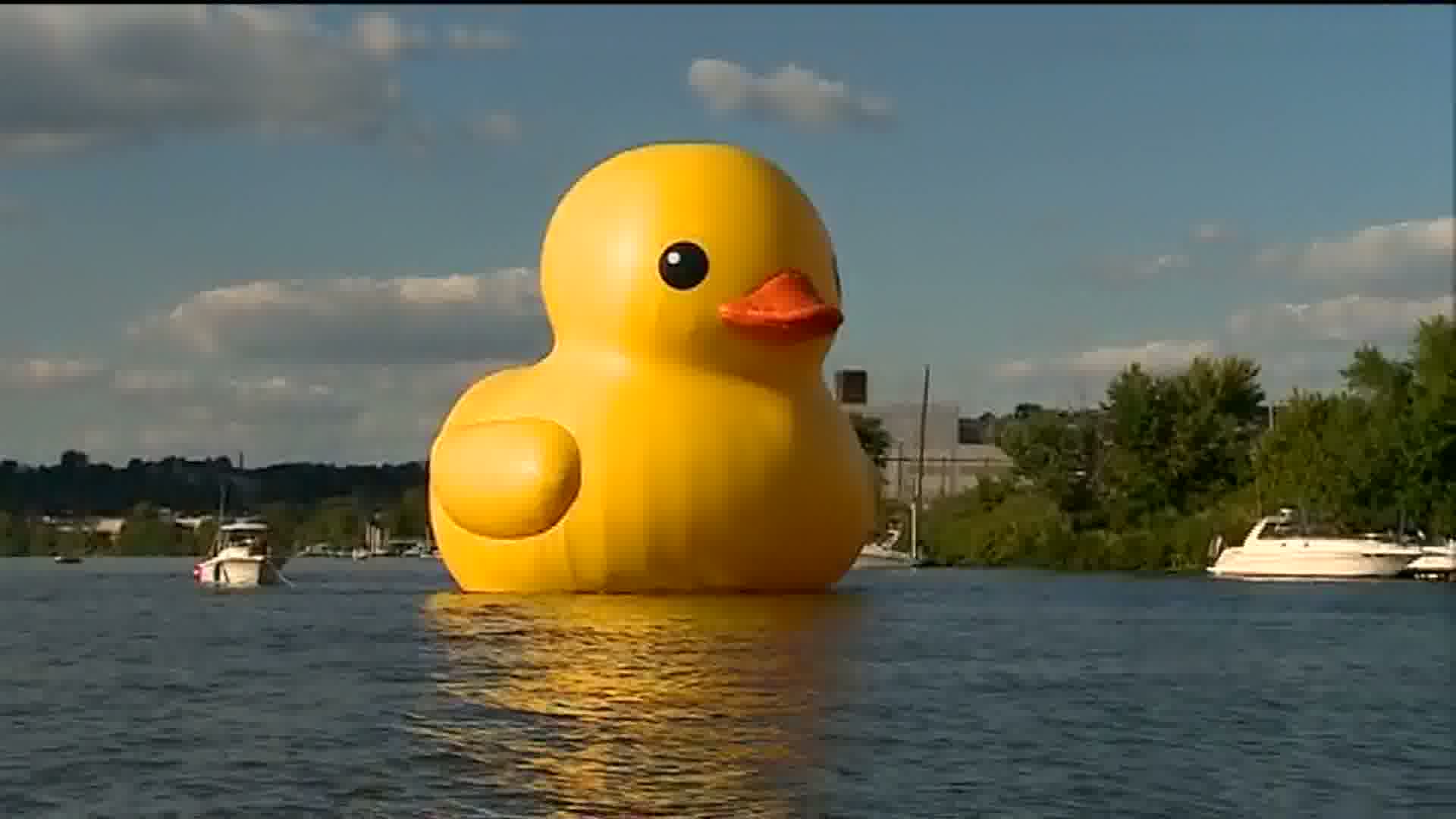 1920x1080 Rubber Ducky Wallpaper