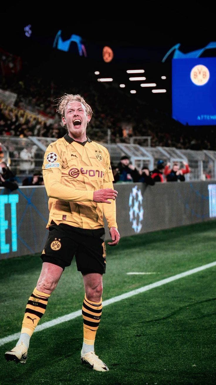 736x1308 Julian Brandt BVB Wallpaper