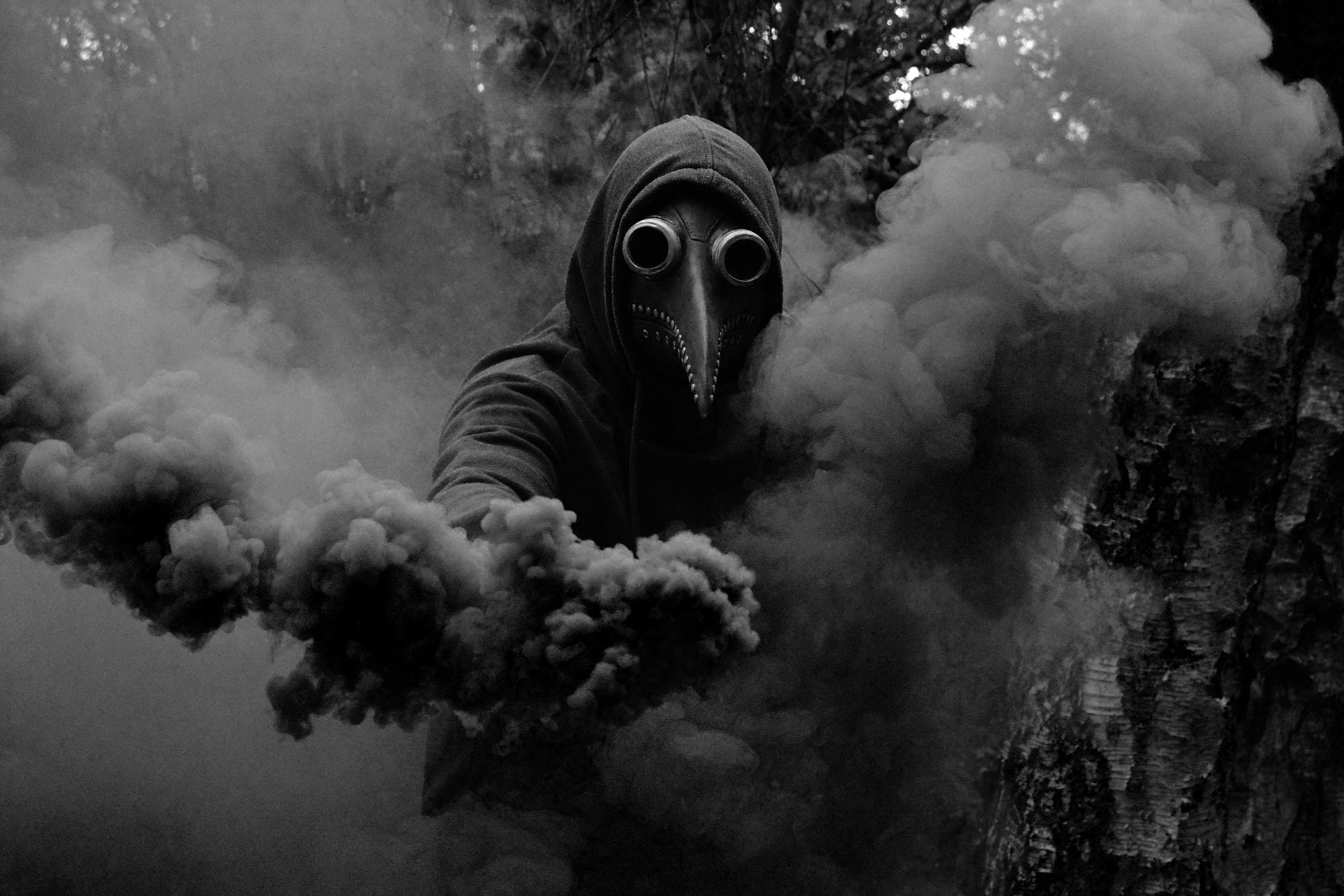 2000x1333 Black Death Mortality Not As Widespread as Long Thought
