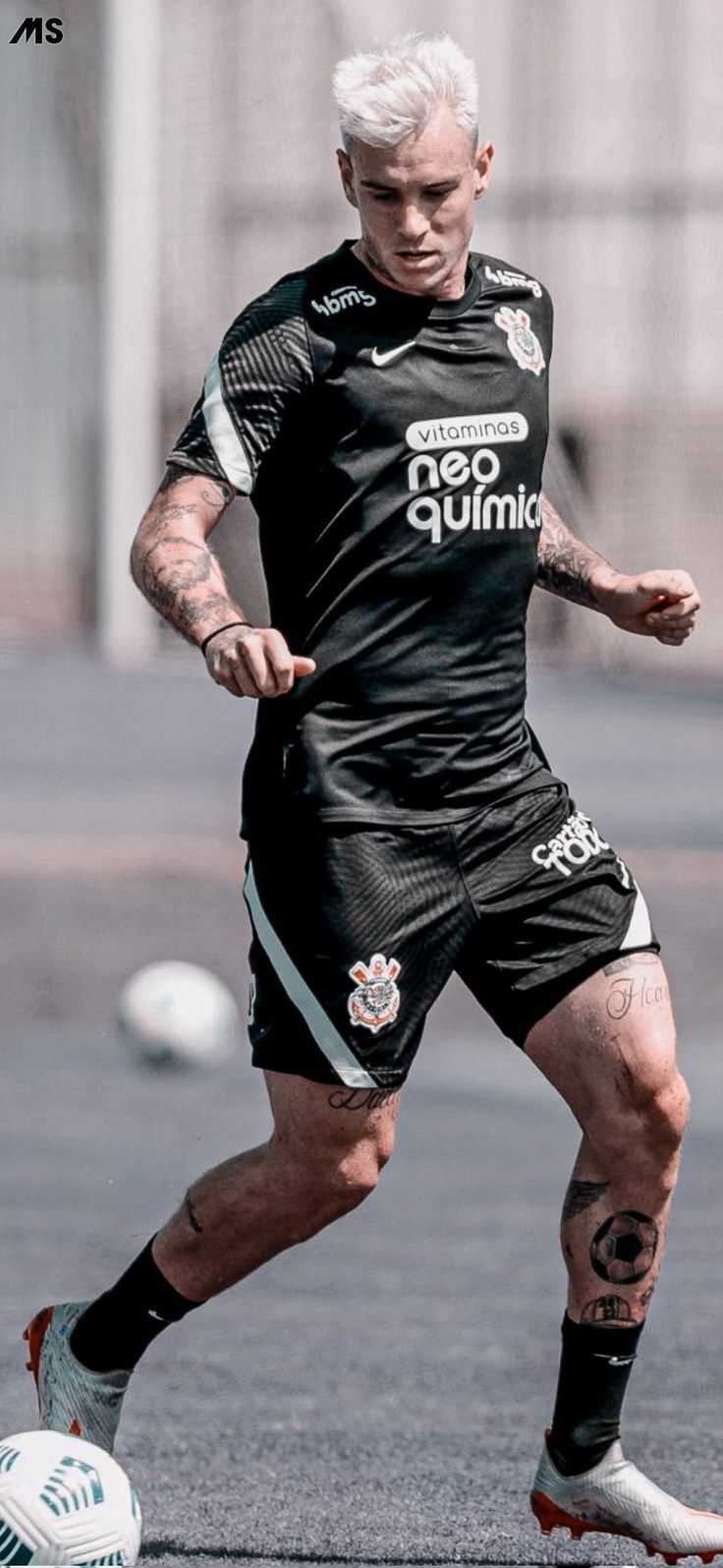 736x1595 Wallpaper.. Roger Guedes