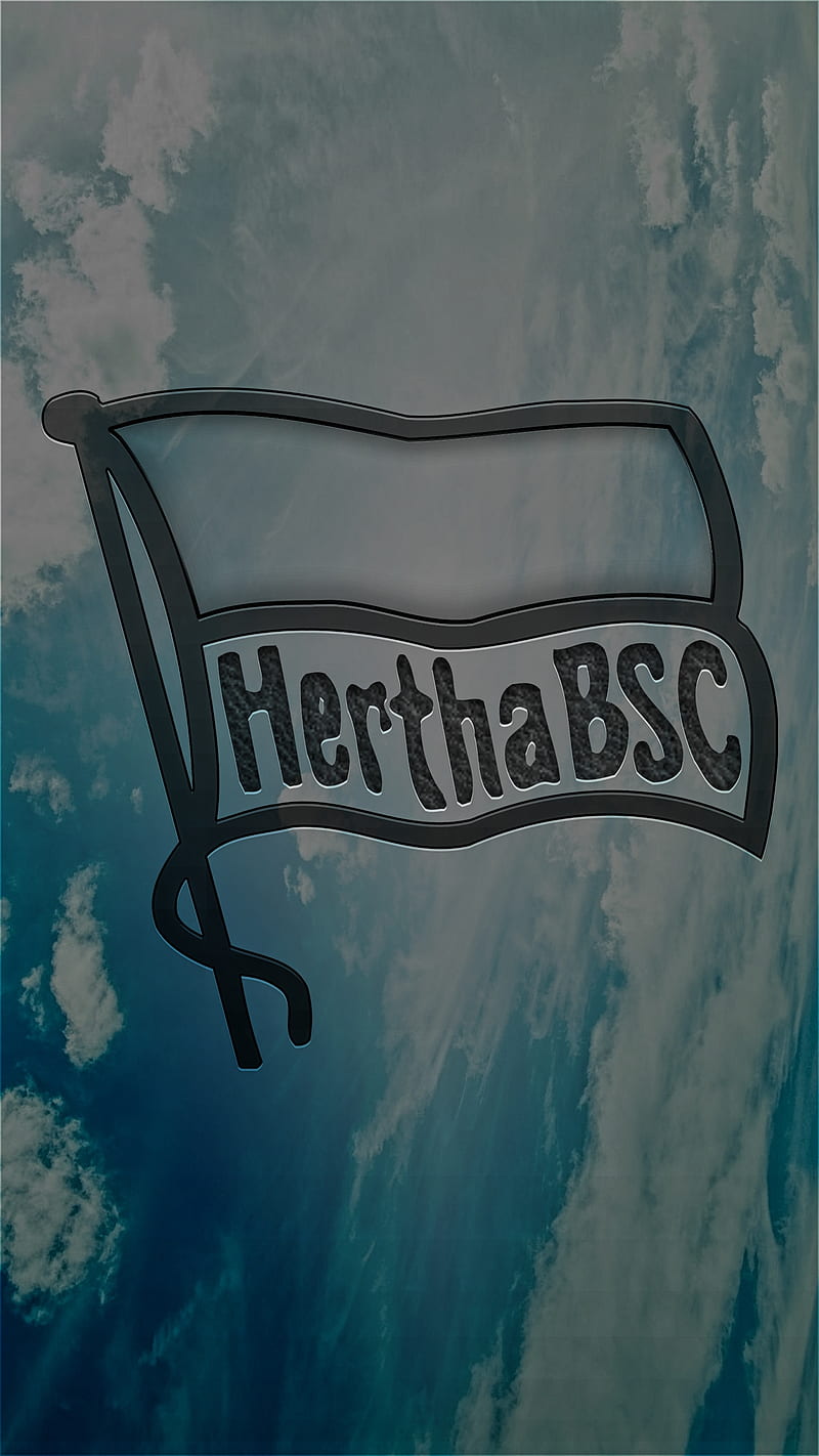 800x1422 HD hertha bundesliga wallpaper
