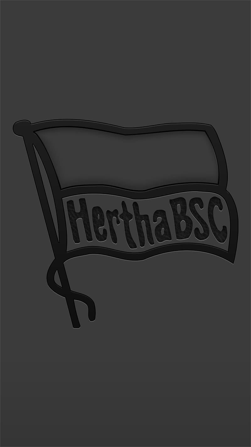 800x1422 HD hertha bsc wallpaper