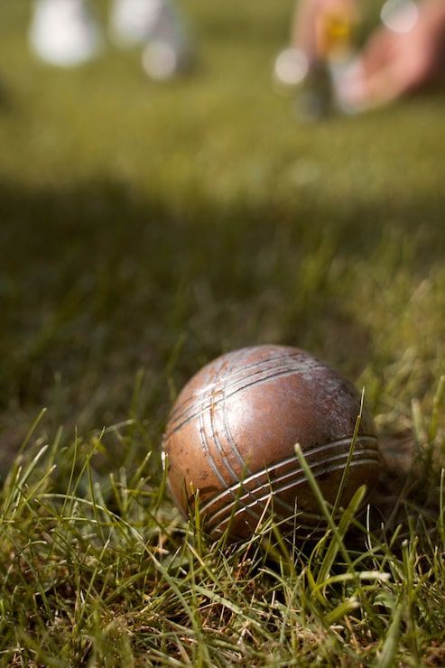493x740 Petanque court Image